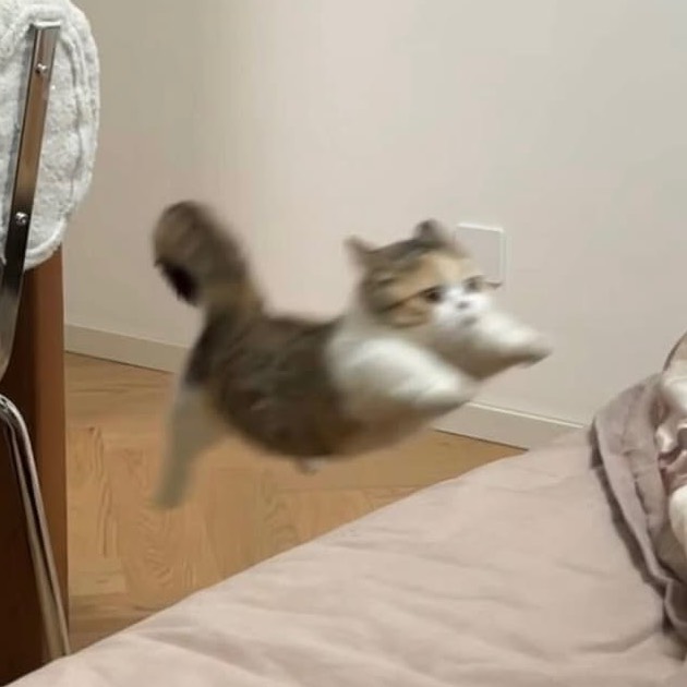 彗