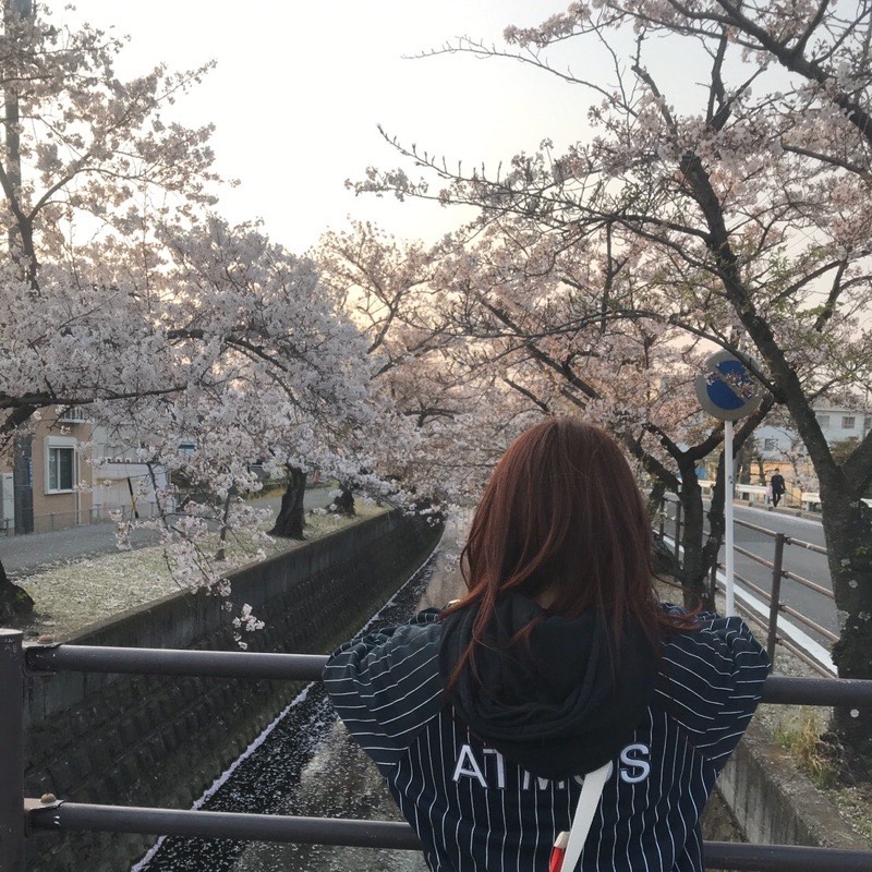 また会いたくなるちょいブス主婦