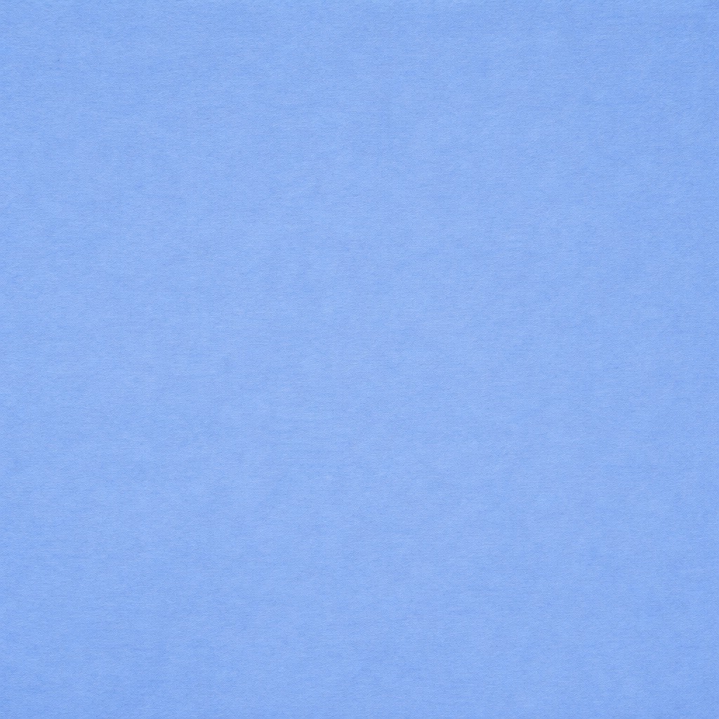くらげ