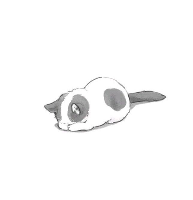 しぃたま