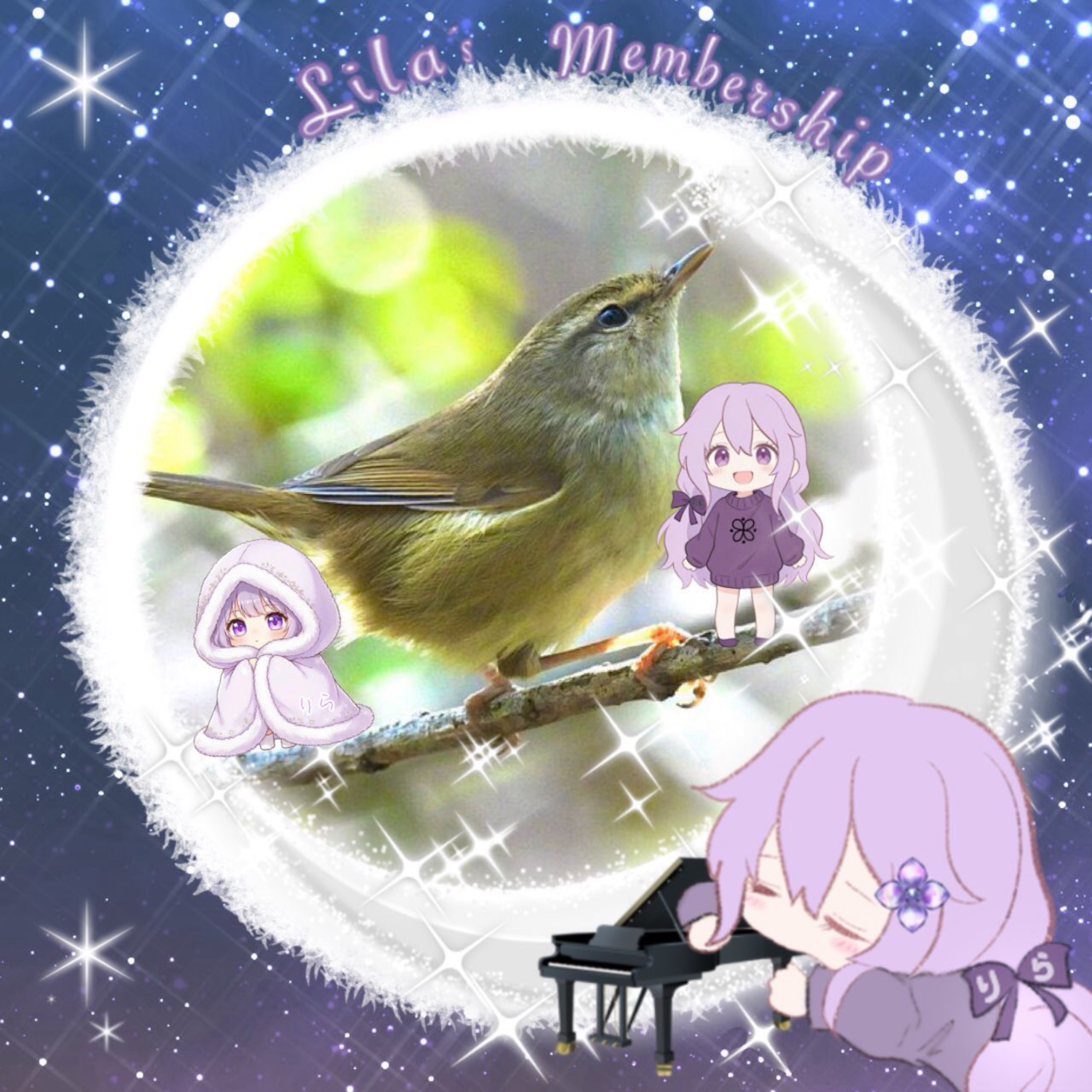 ♪♬怜(れい)♪♬✰✧ 🟪ₜₑₐₘ
