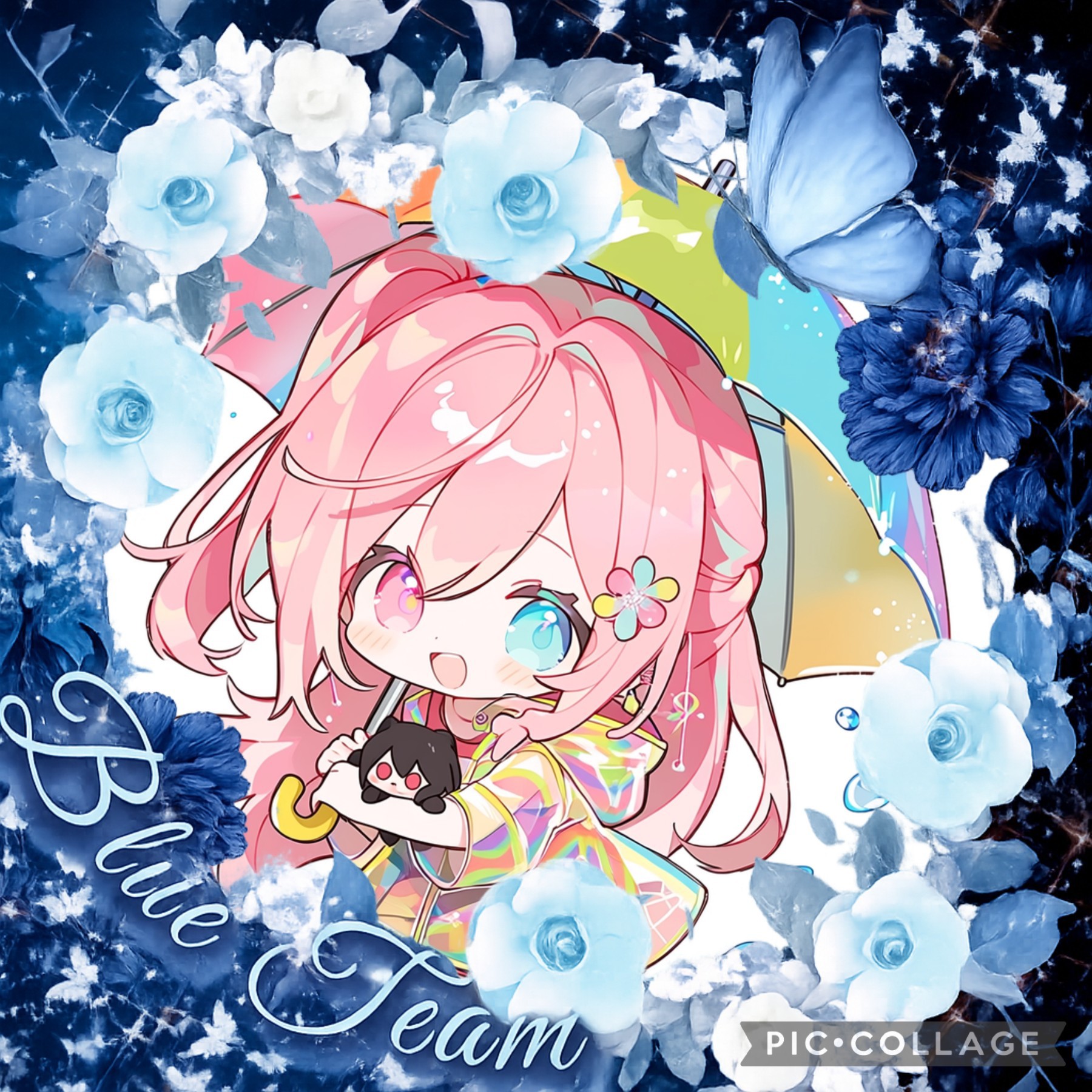 ★¨̮𓃠‪きなこ💙💙💙