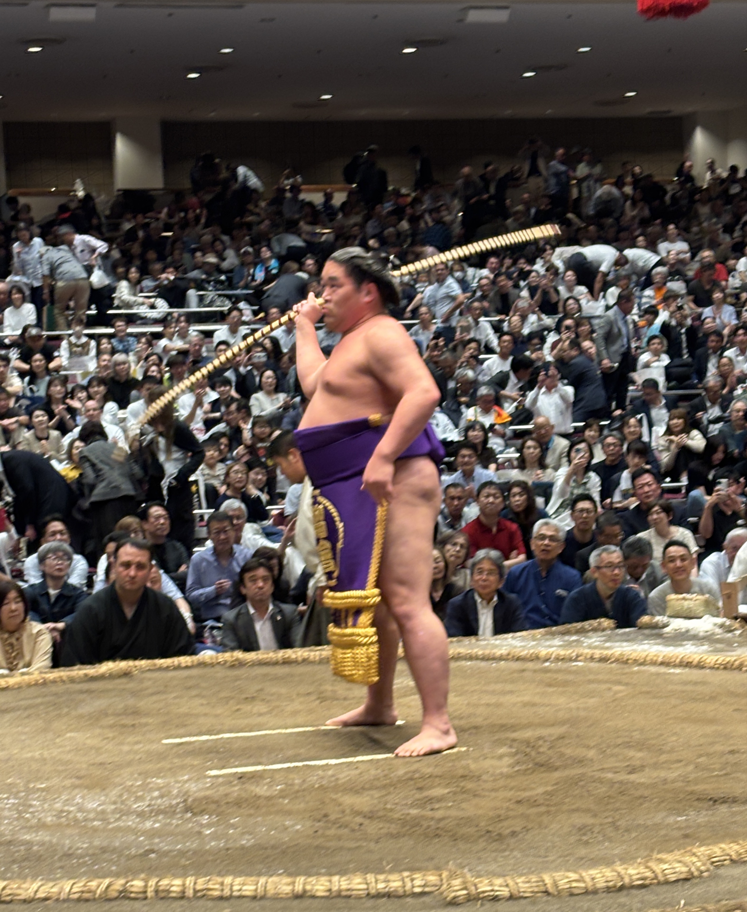力士