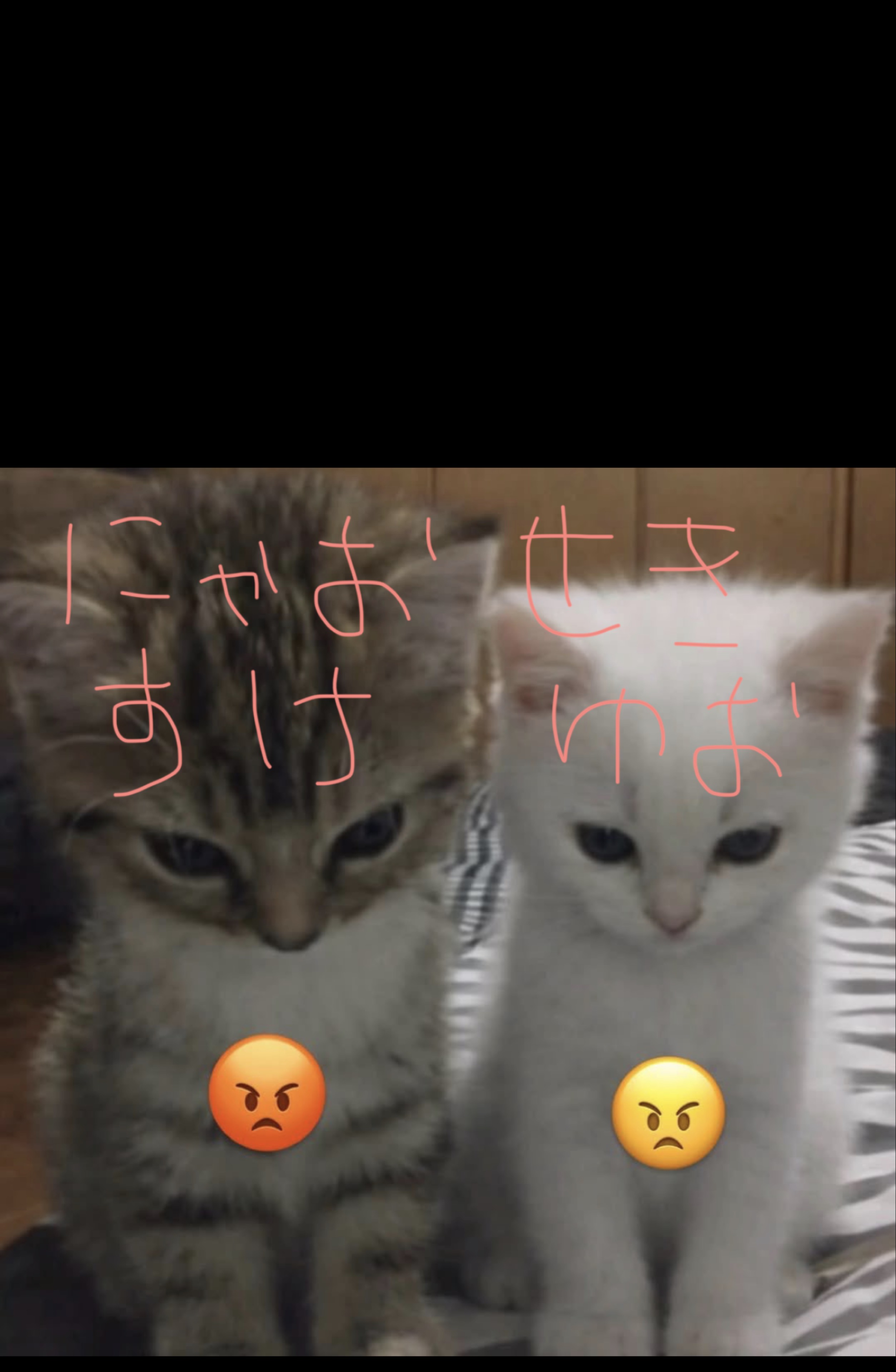 石油王