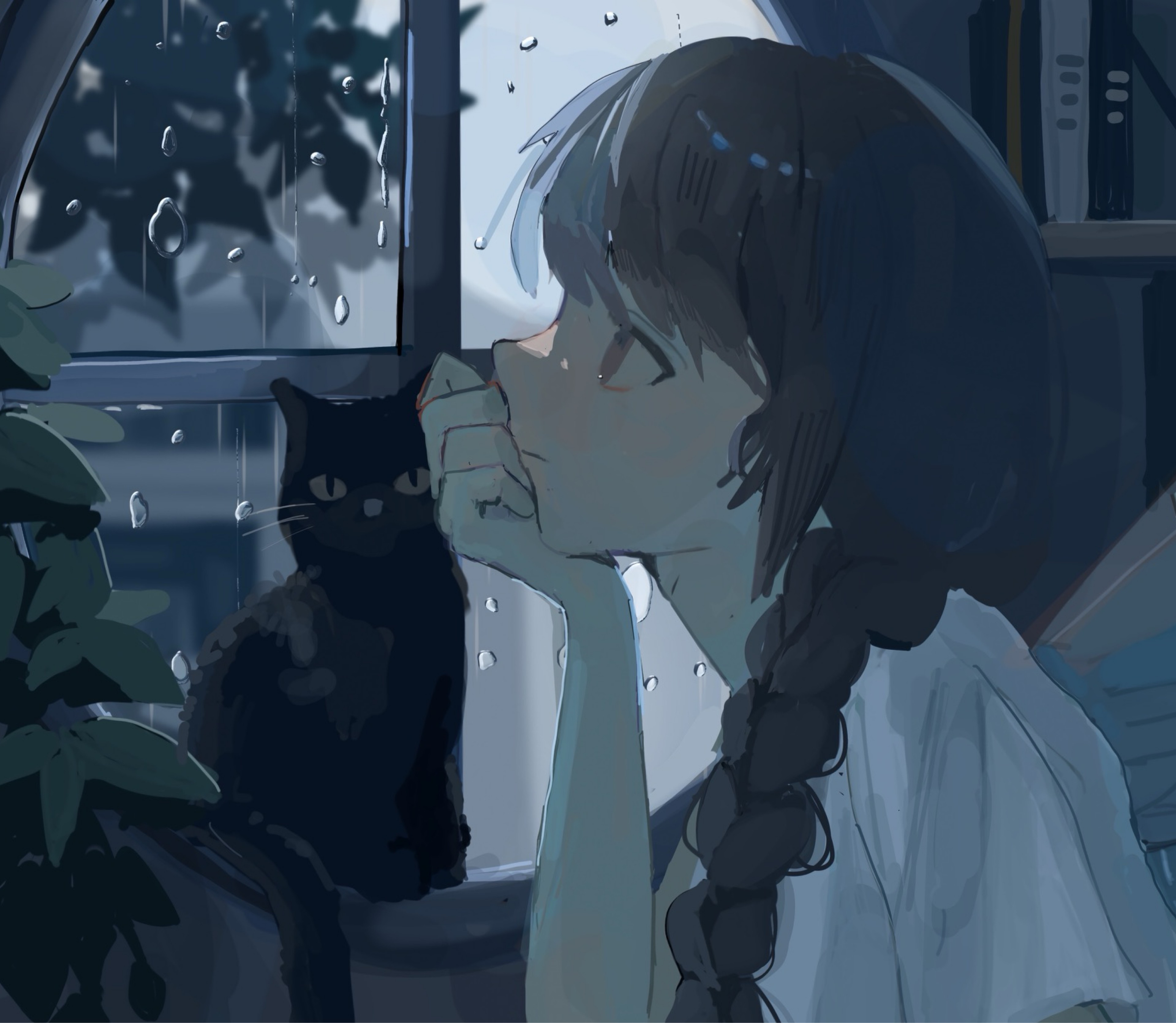 南