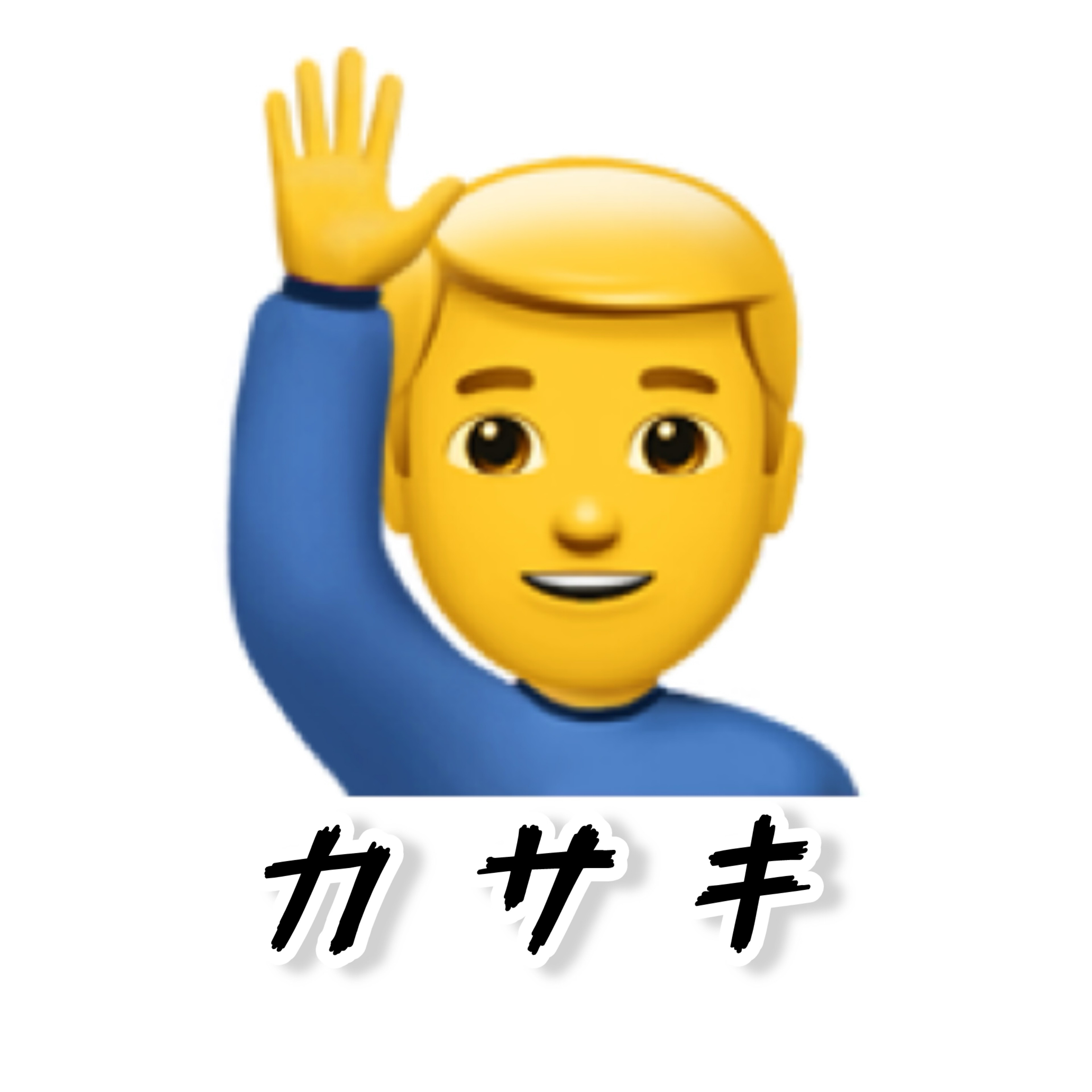 カサキ