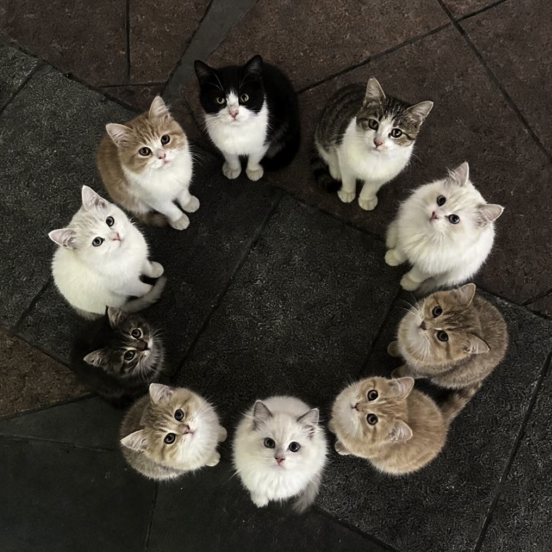 結妃