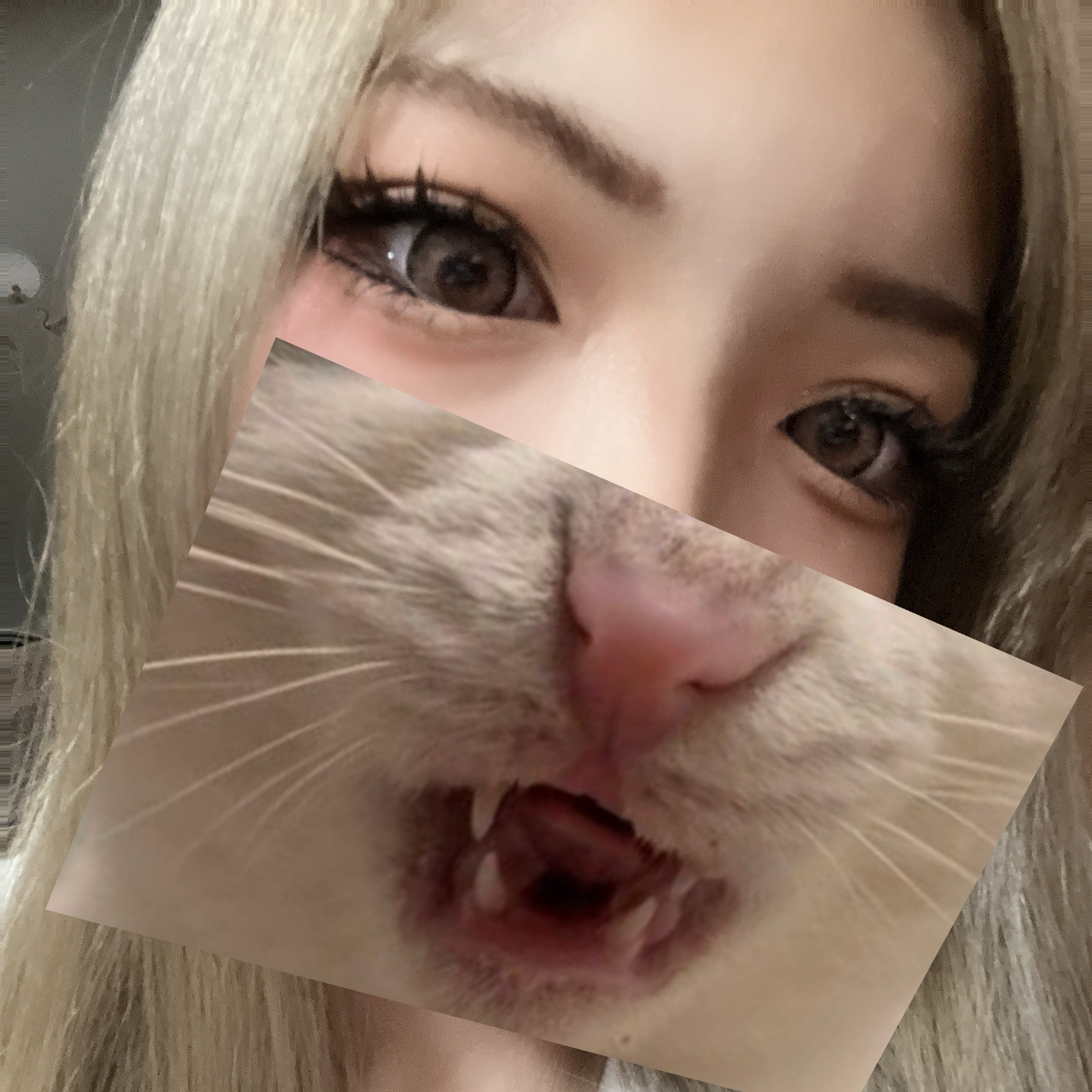 ⊇〃`⊂ぅ