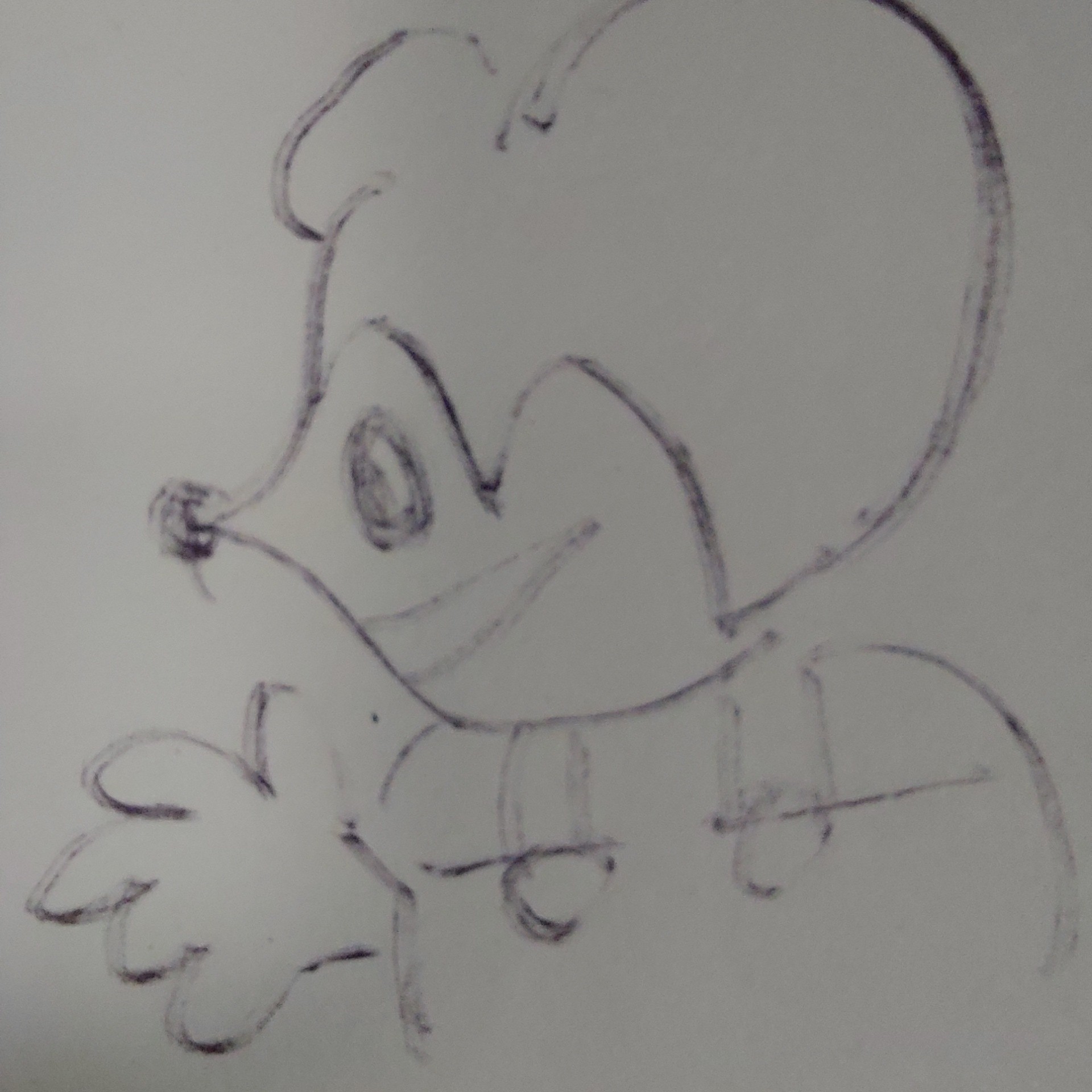 そよは