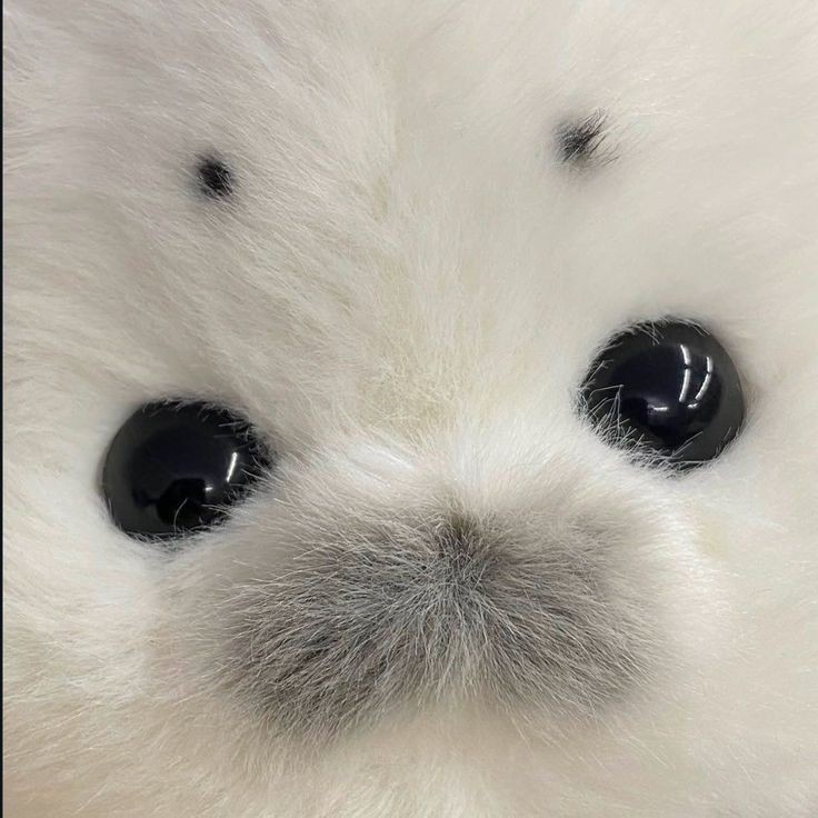 はか