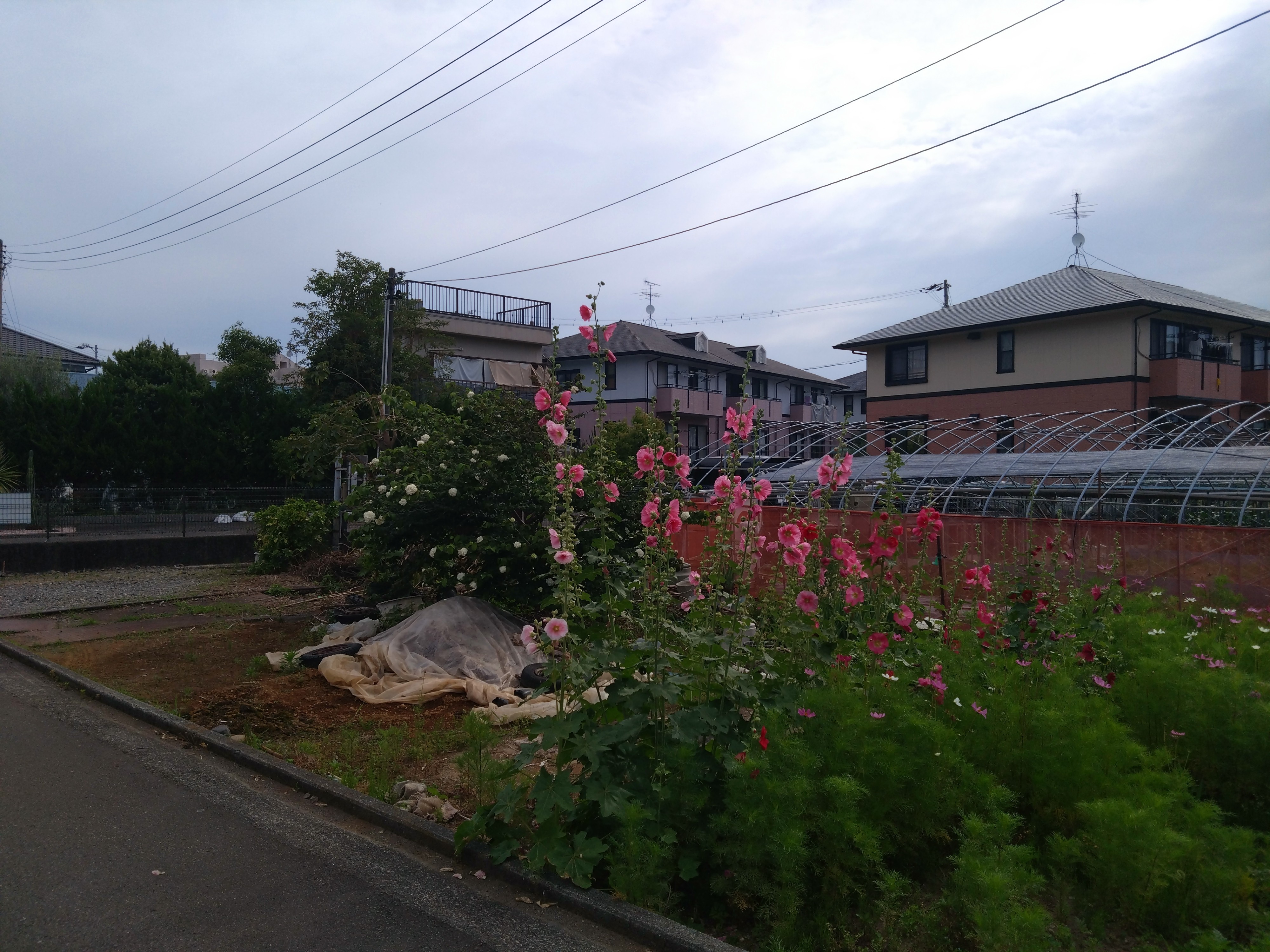 しんや＆さわぴー