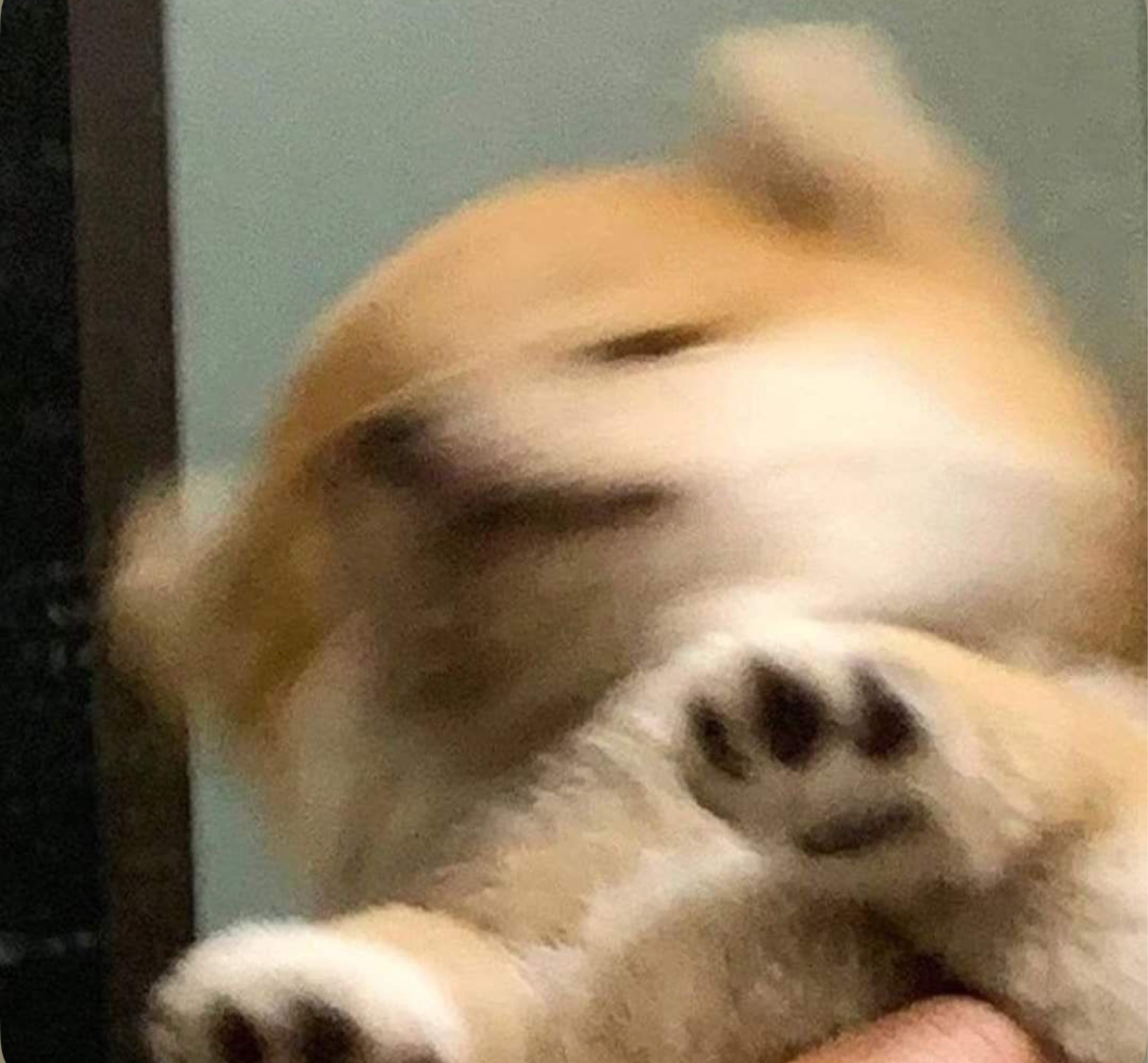 えるたそ。