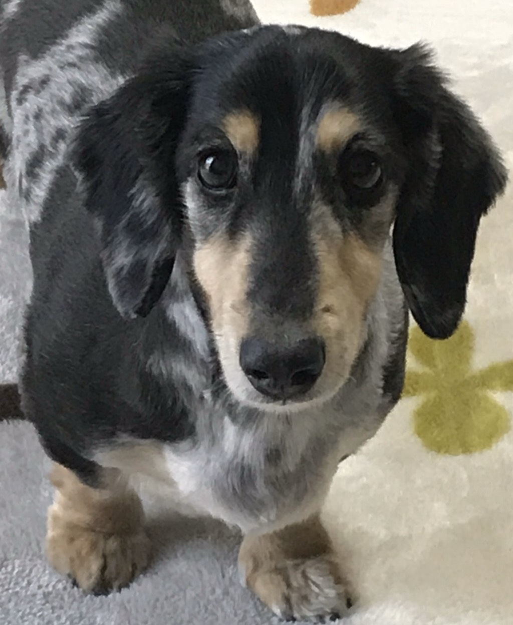 あかちゃん。✁ ⸊ဂဗ.。𝓢 🌞ꕥ