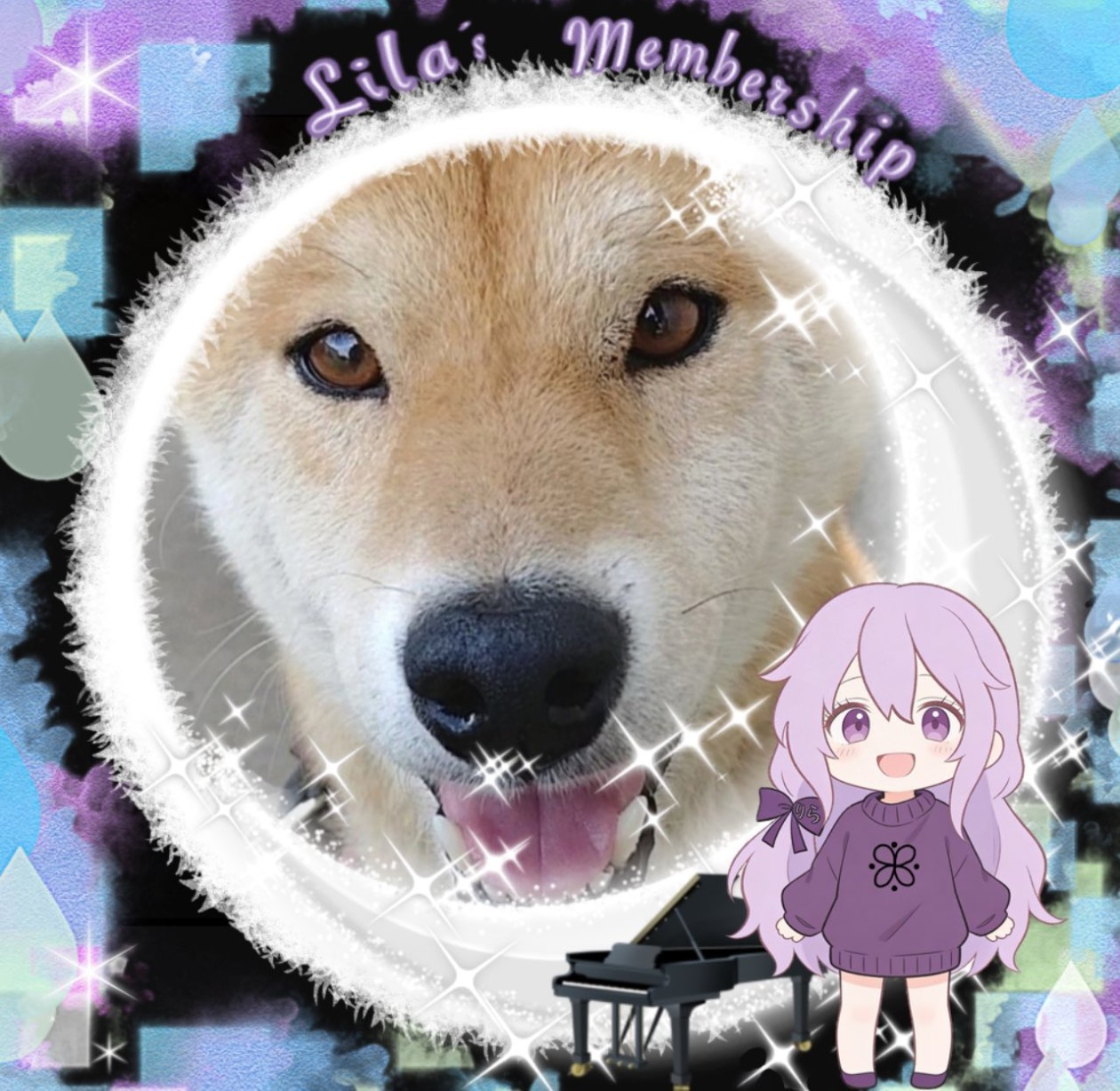 うさまめꕥ