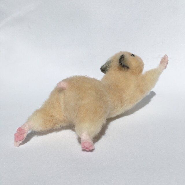 ððâðŠº
