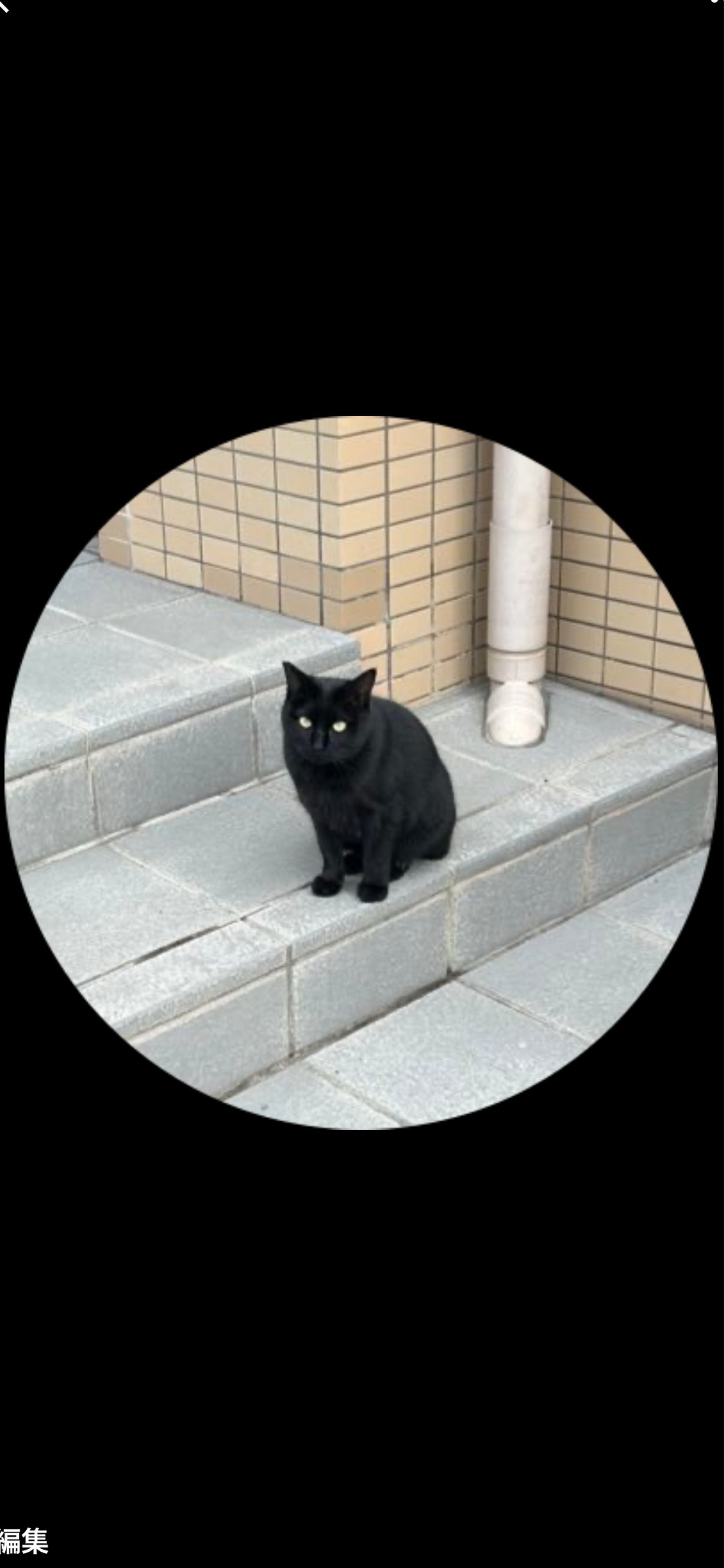 サガミ