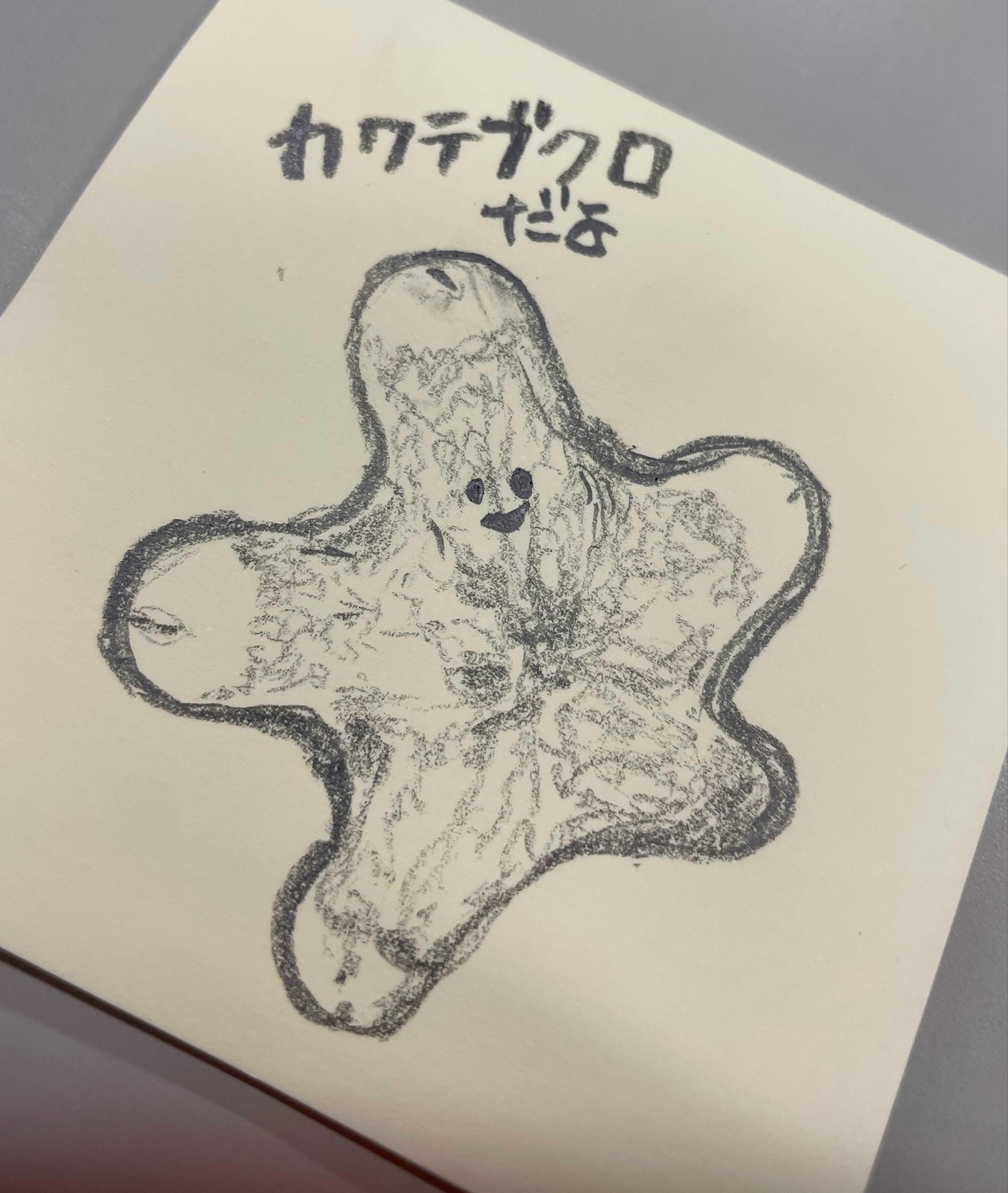 蚕