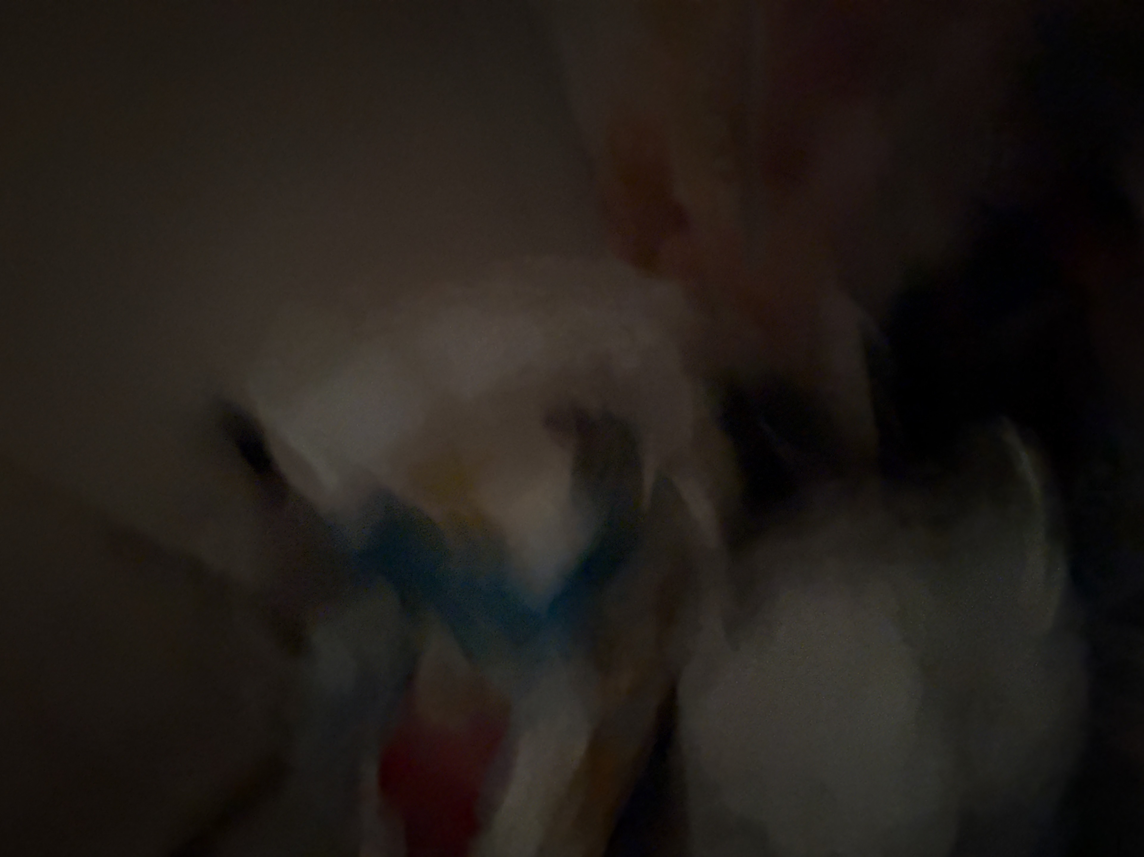 け