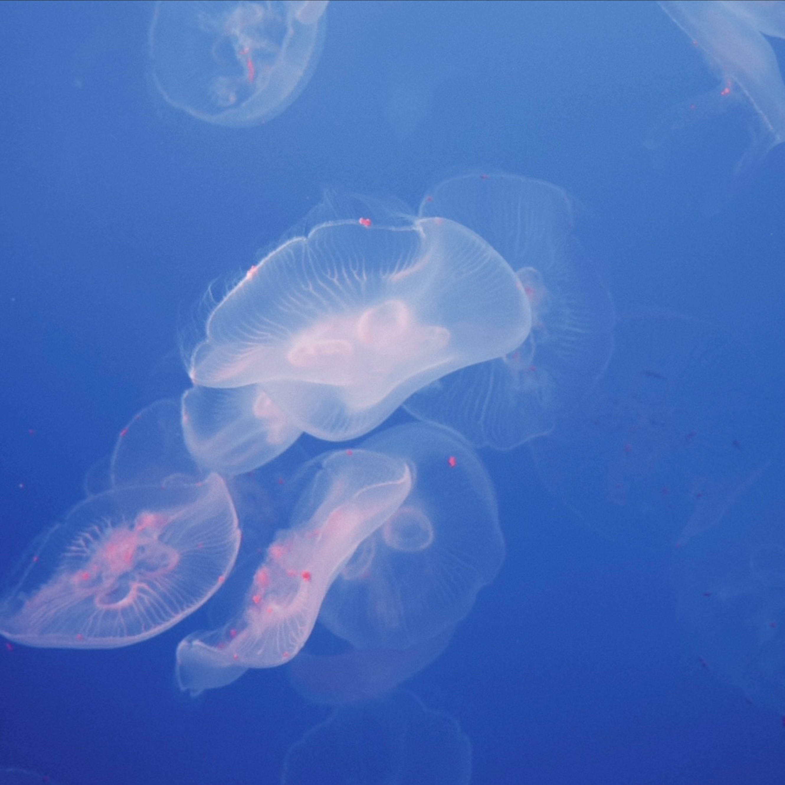 水