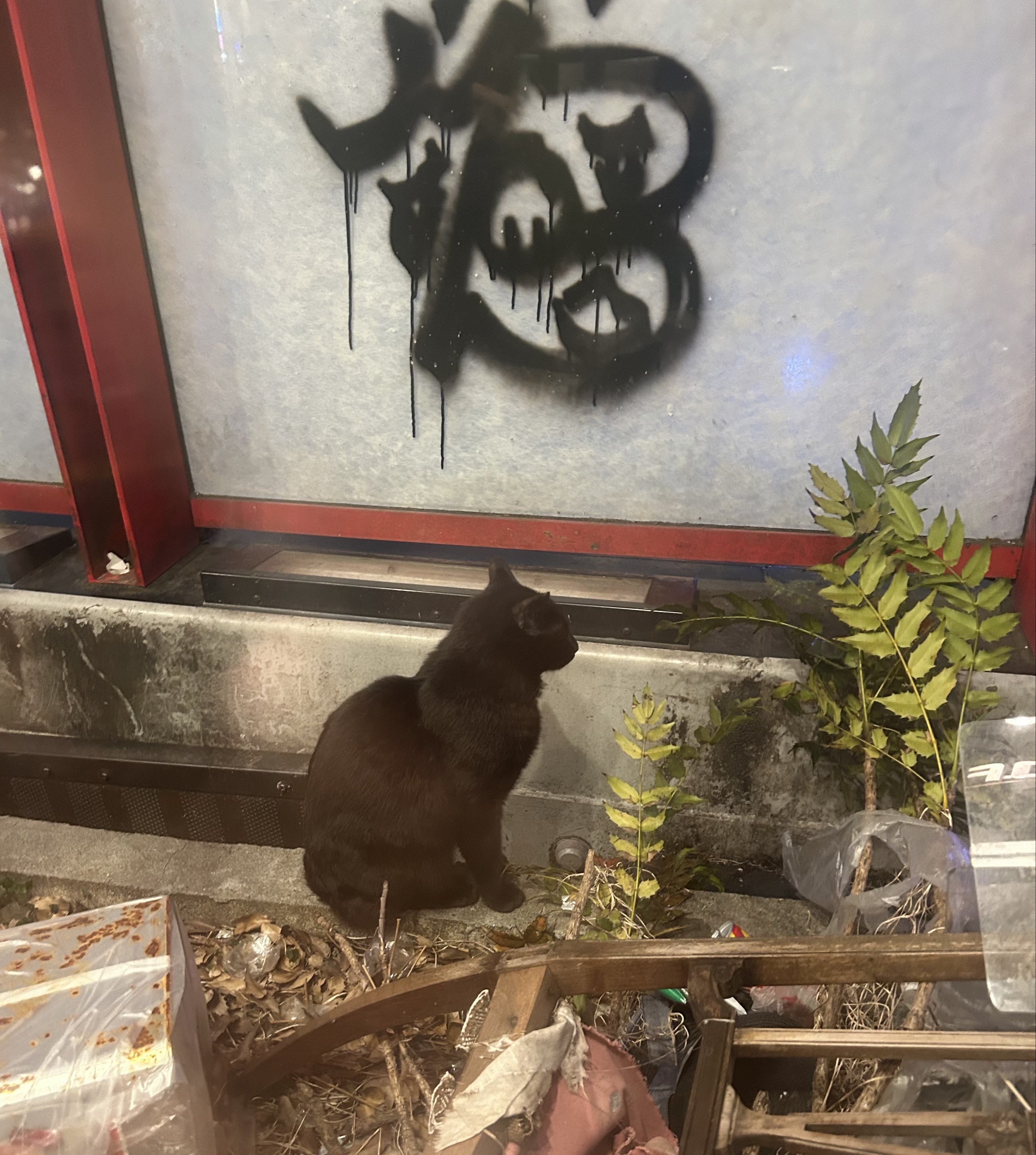ゆださん