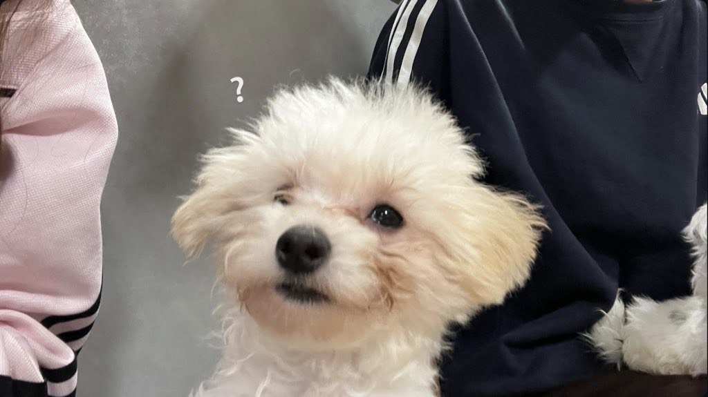 えふぉ