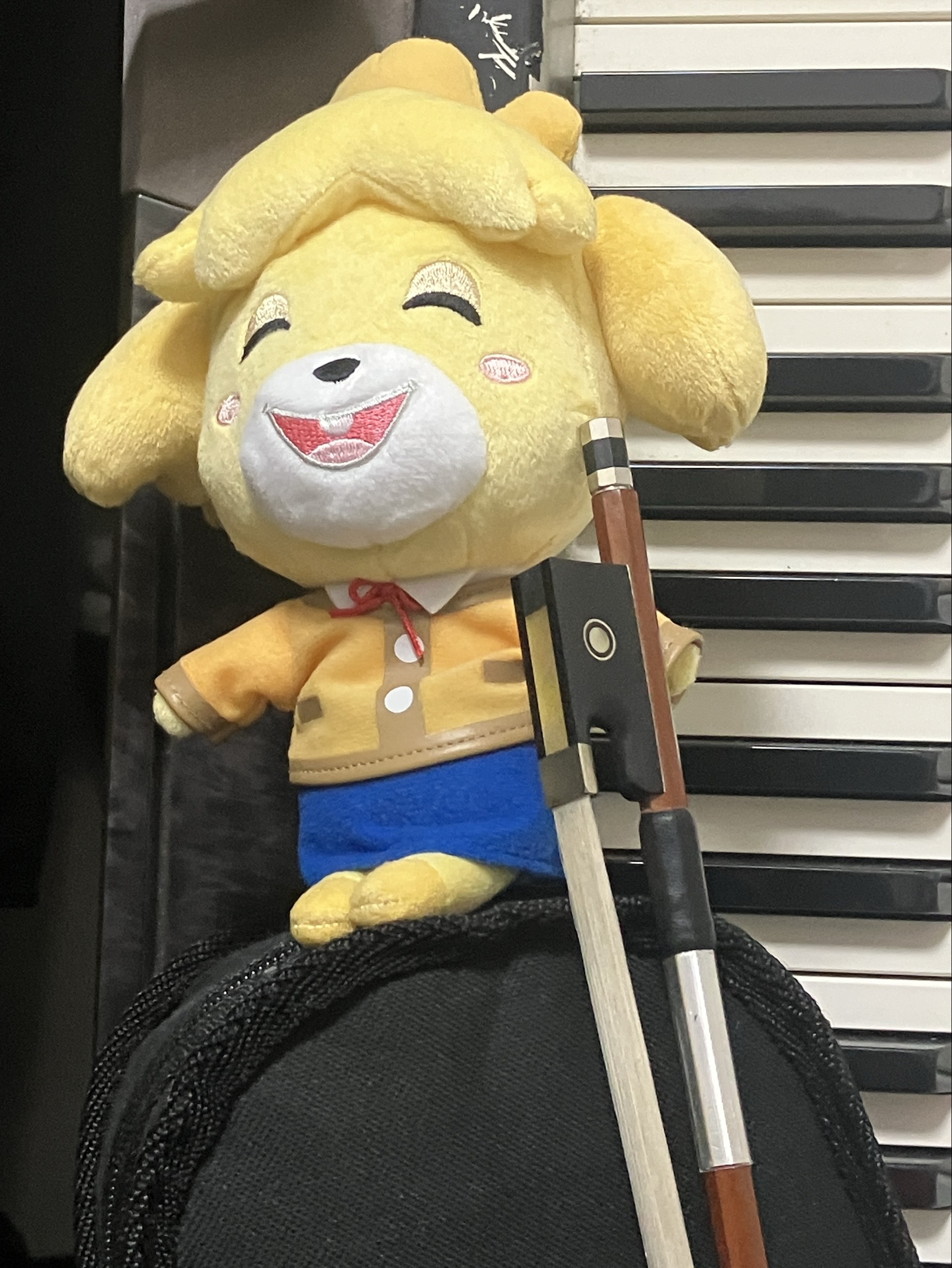 すけぽん🎻