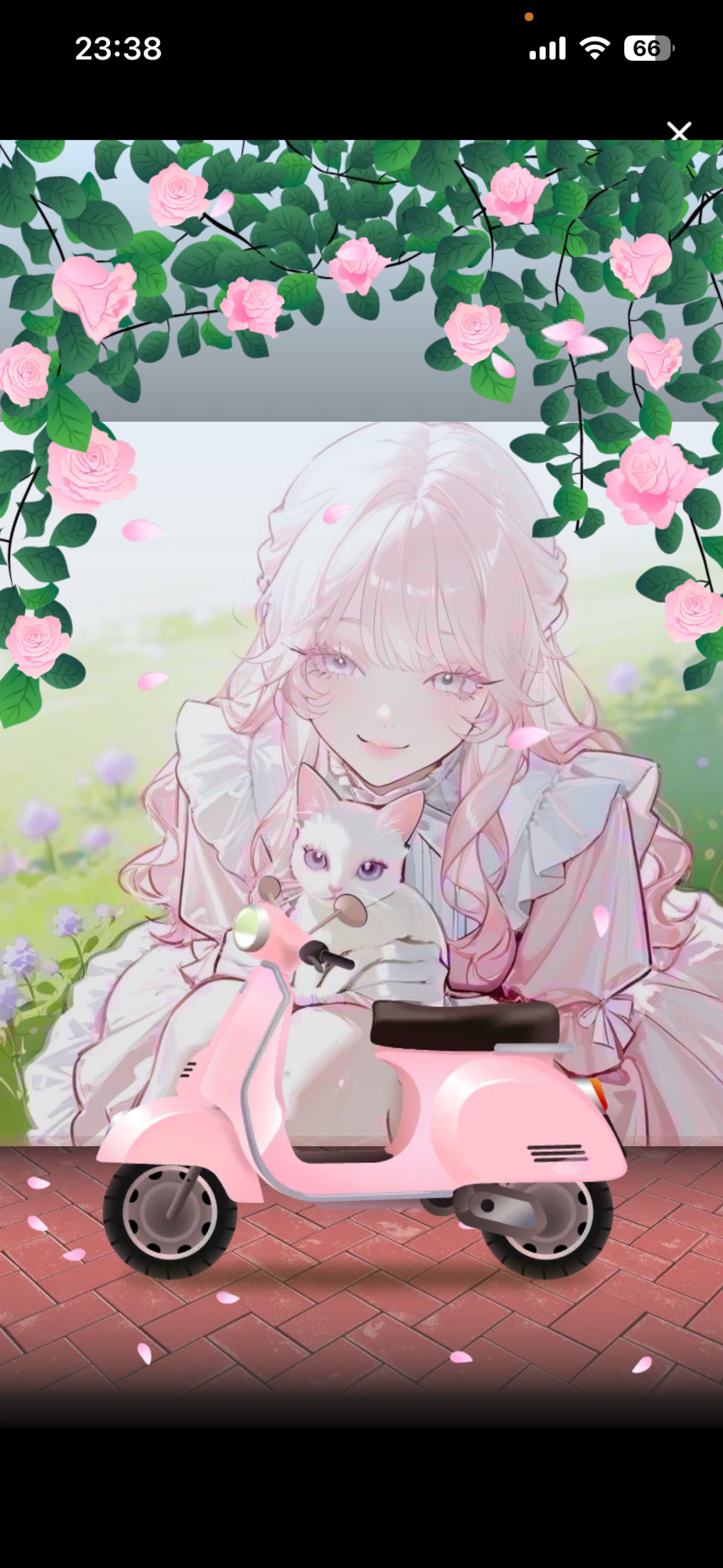 ⸉𑁍⸝⸝ 桜 子