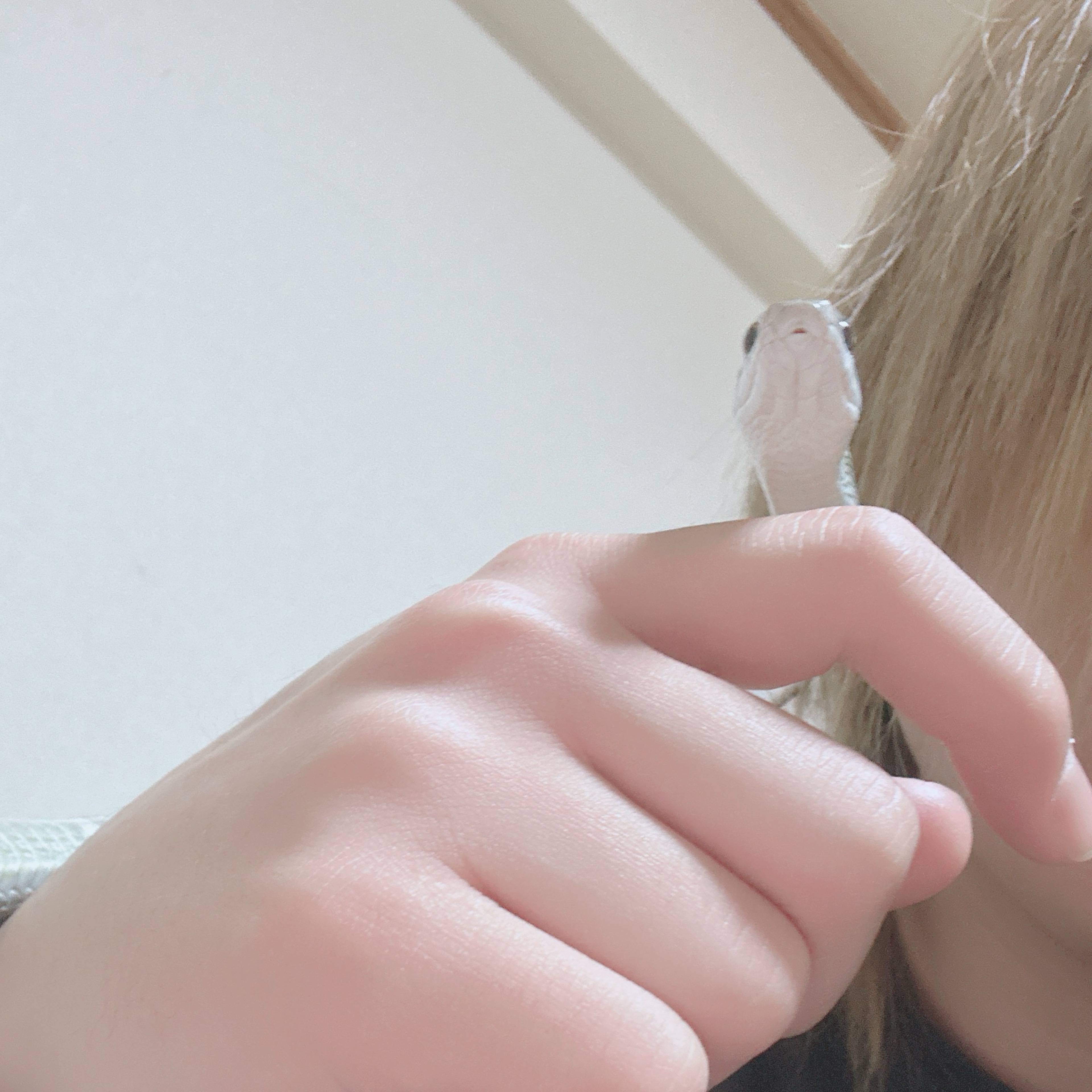 な