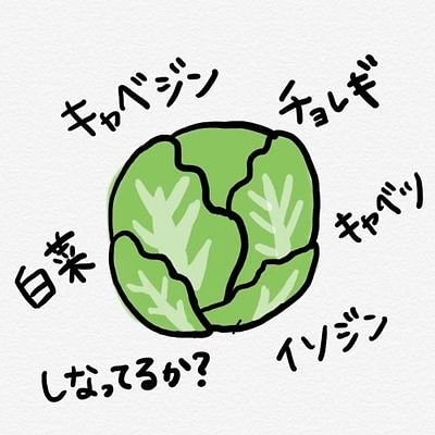 キャベツ︎︎