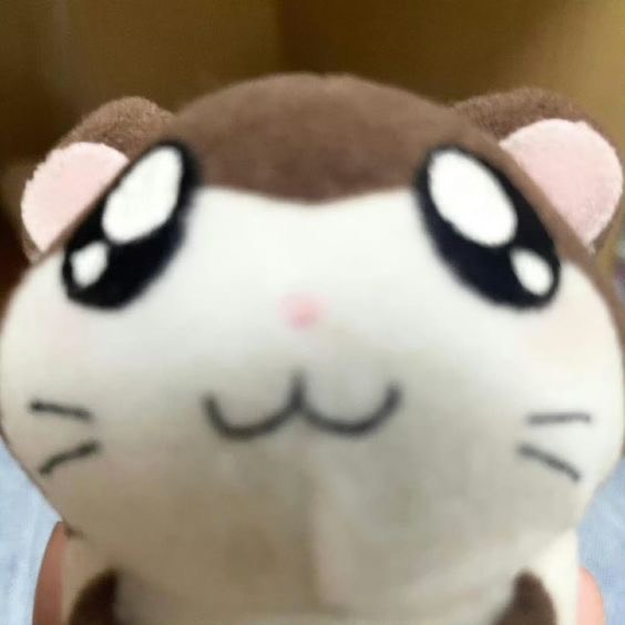 阿呆