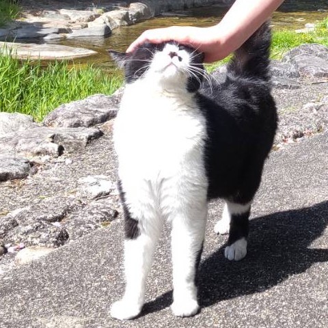 ðã¯ãïŒ ã€ã€ã€ã€æã®å¯çè«