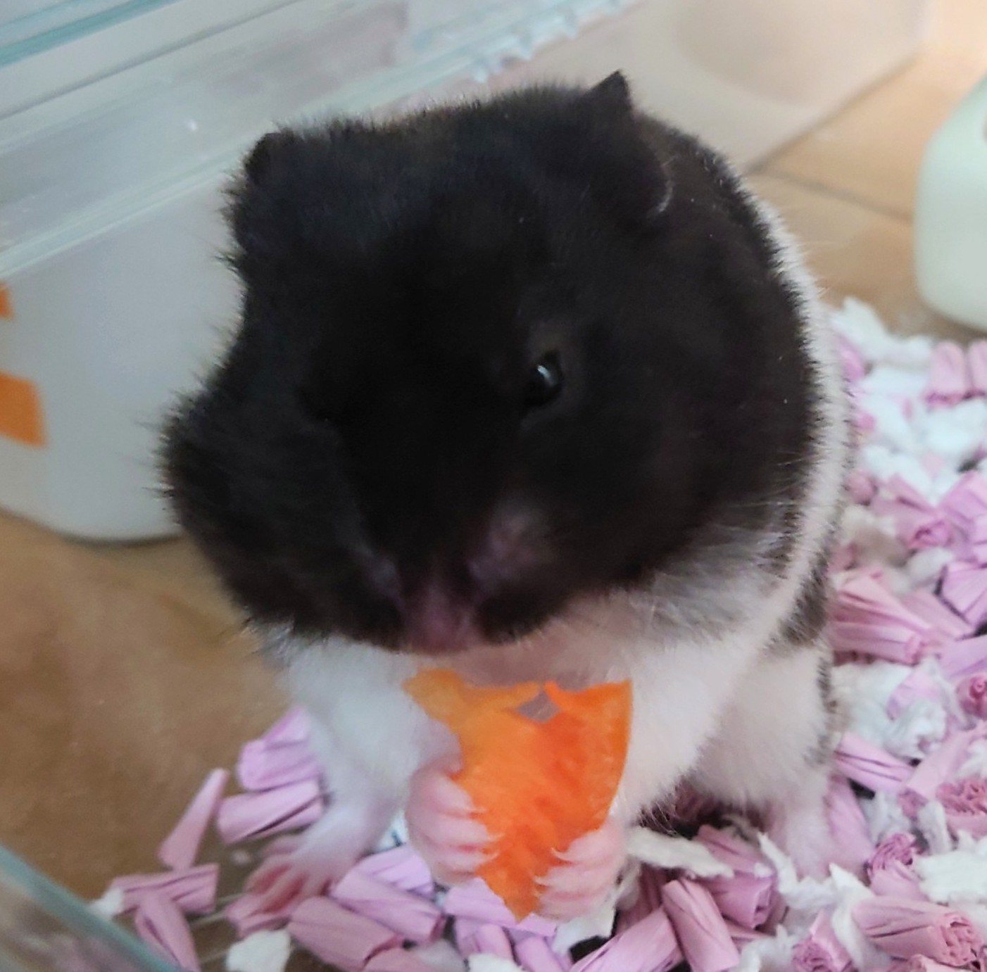凌