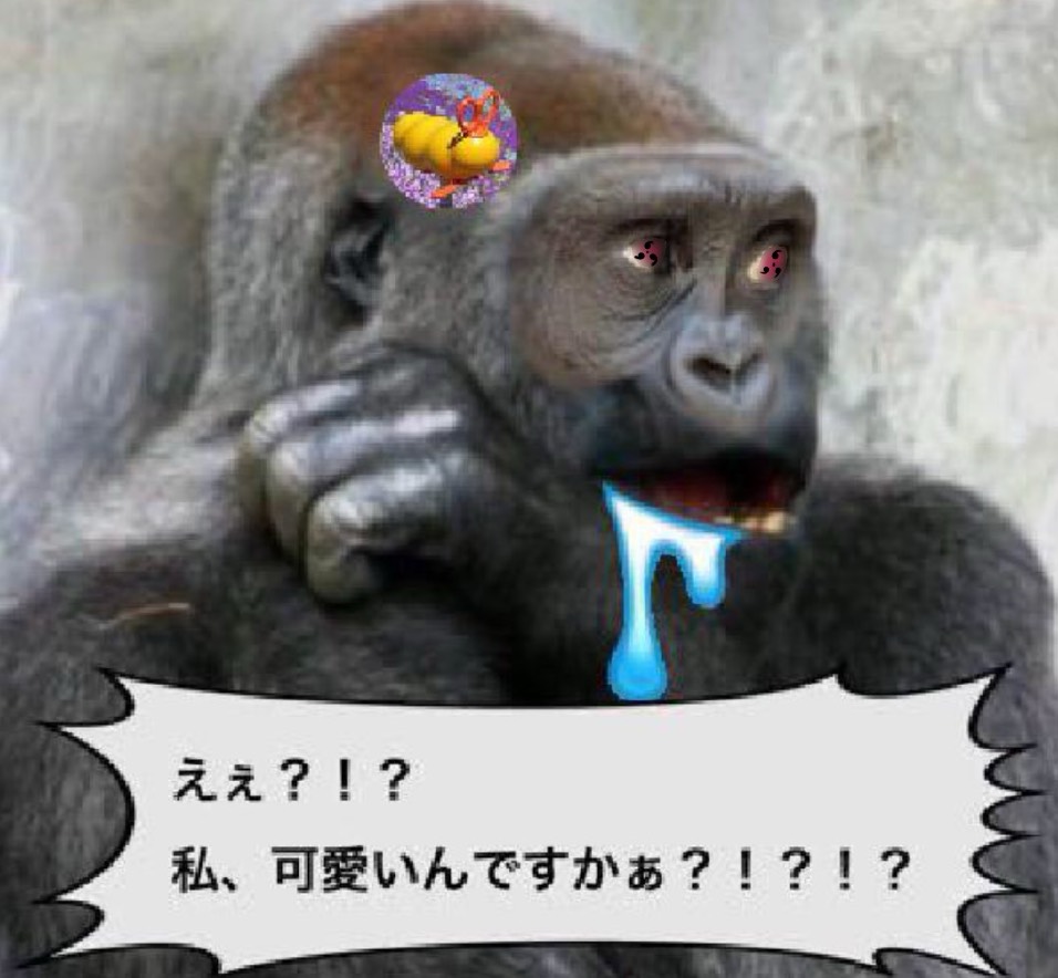 ごりぽん。