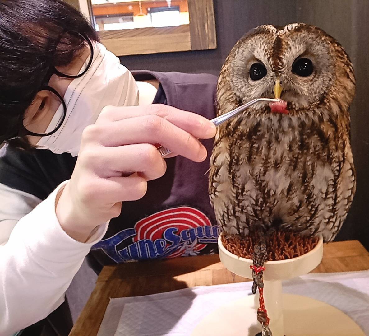 りっくん。