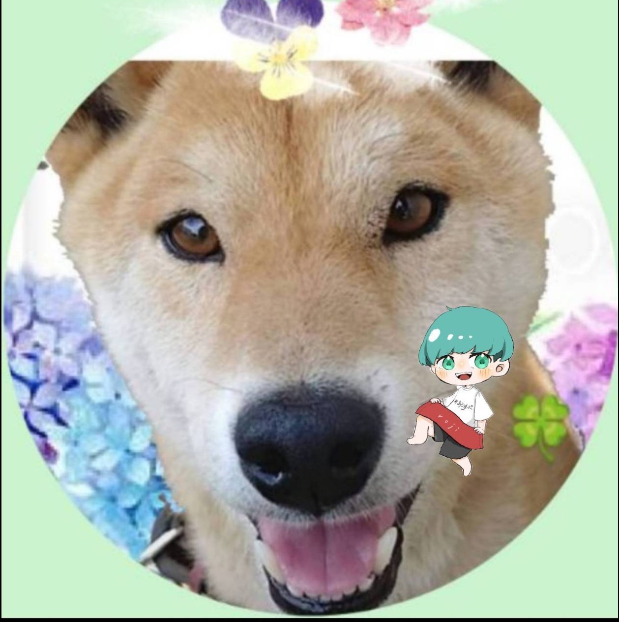 うさまめꕥ 