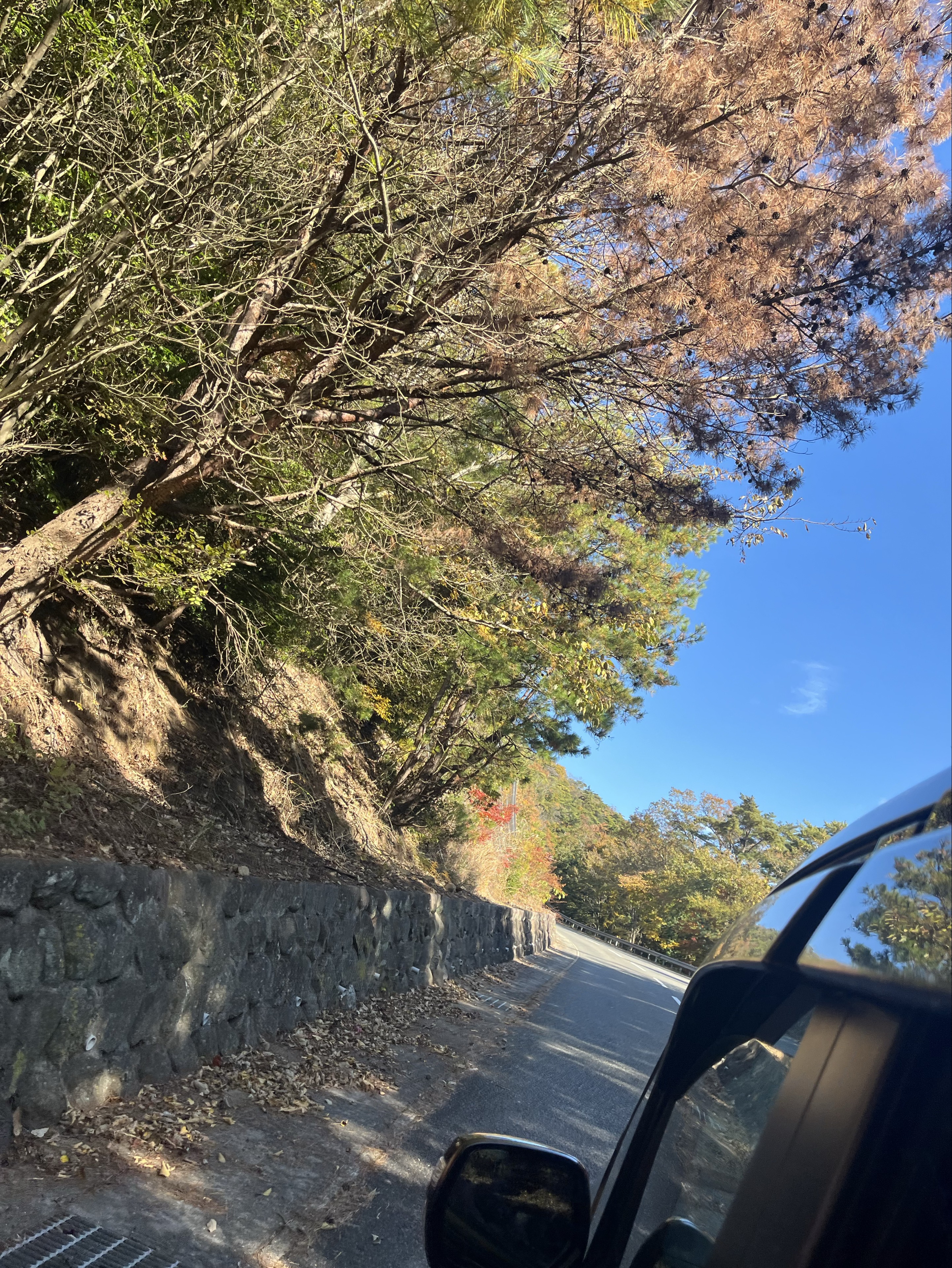 これ俺！₹ʖˋーƕ