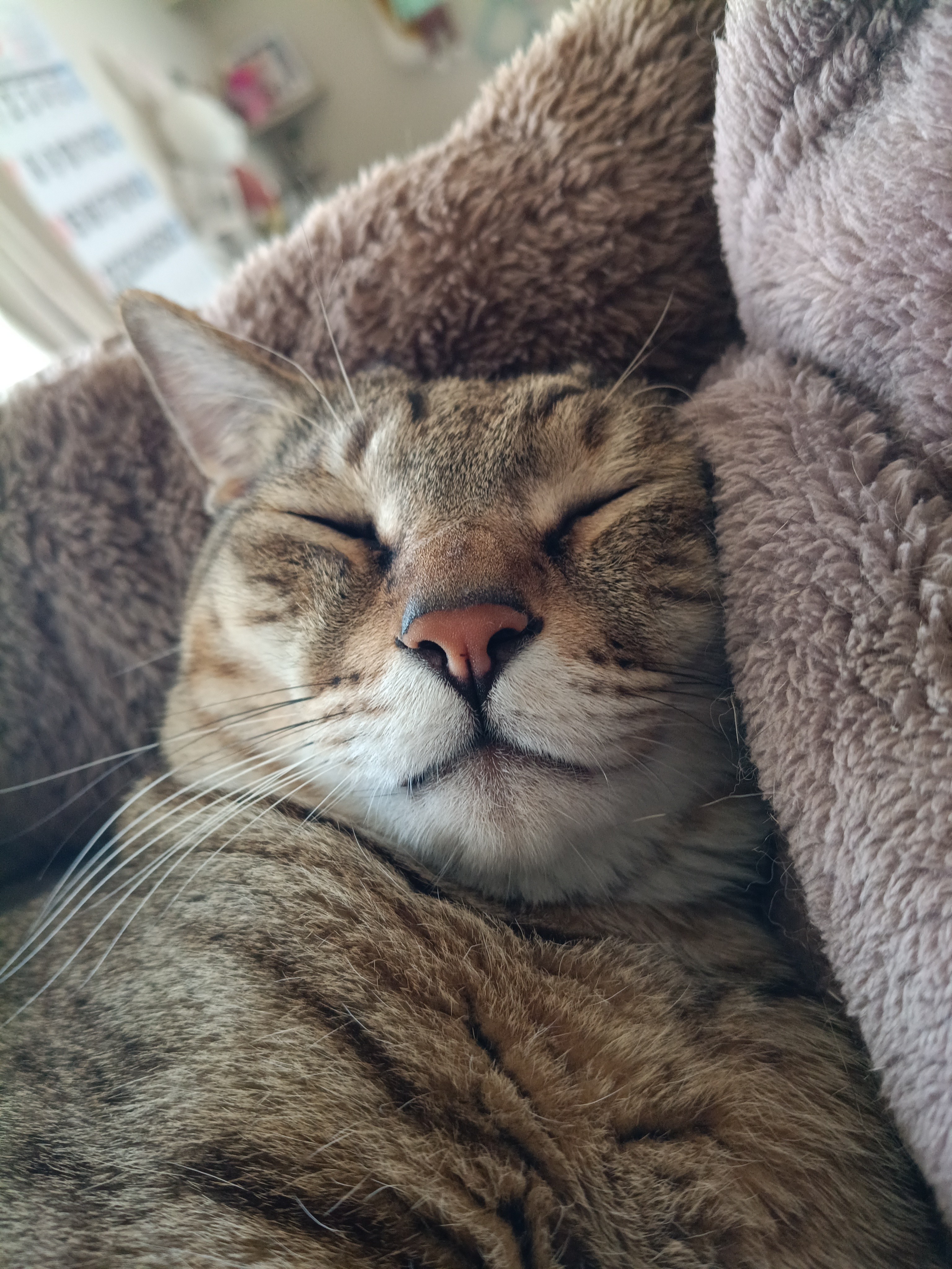 かなでぃんkanading