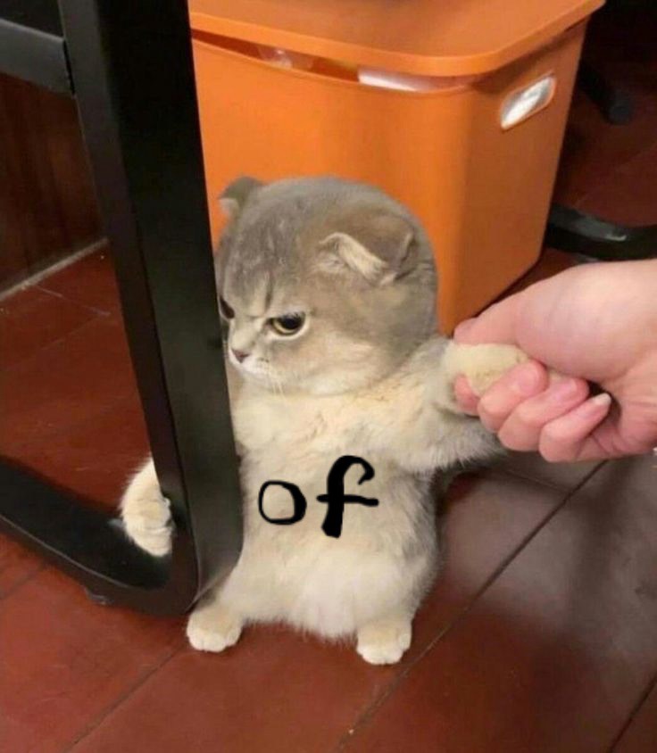 ðð