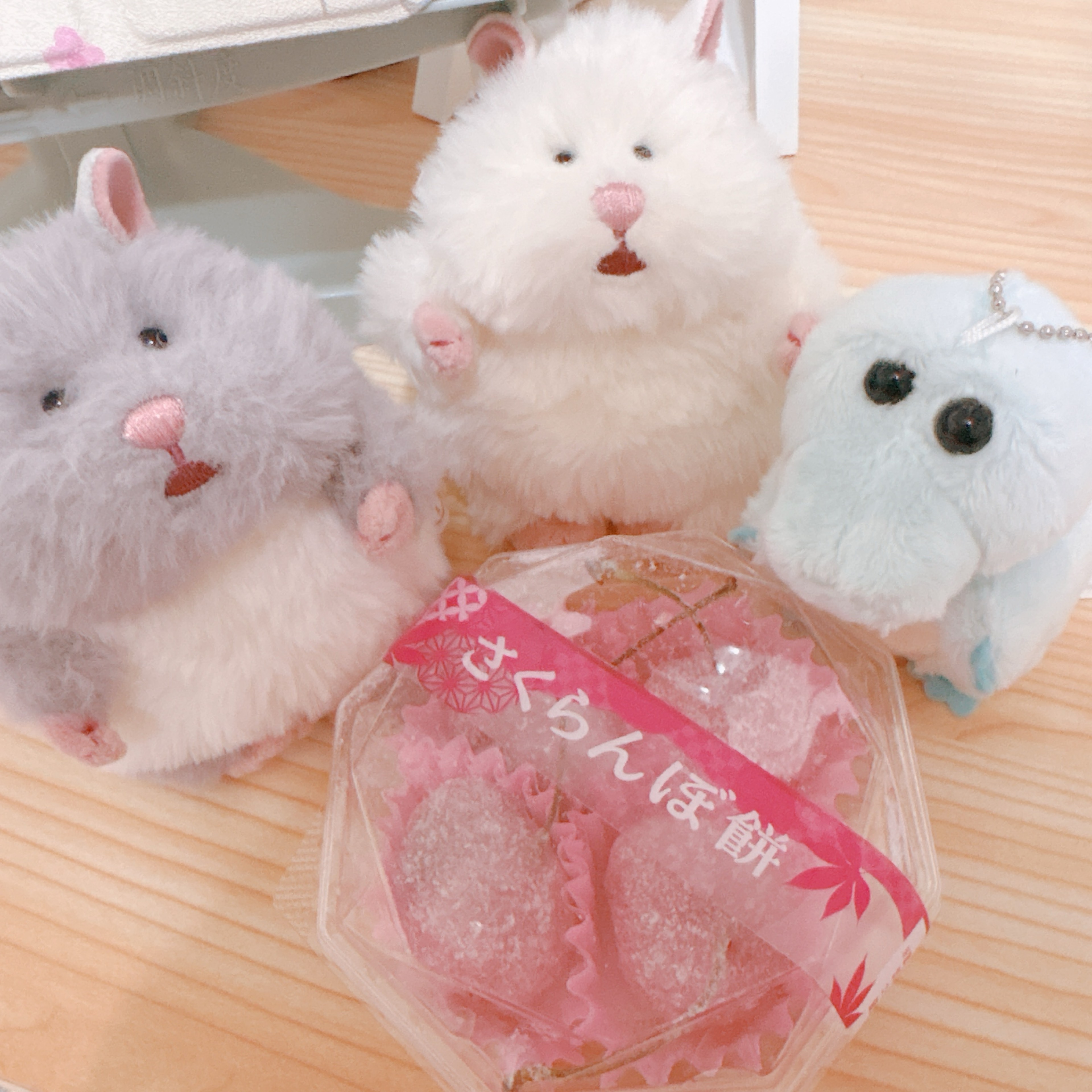 もぐもぐもぐみ.🍙🎣 뽀뽀