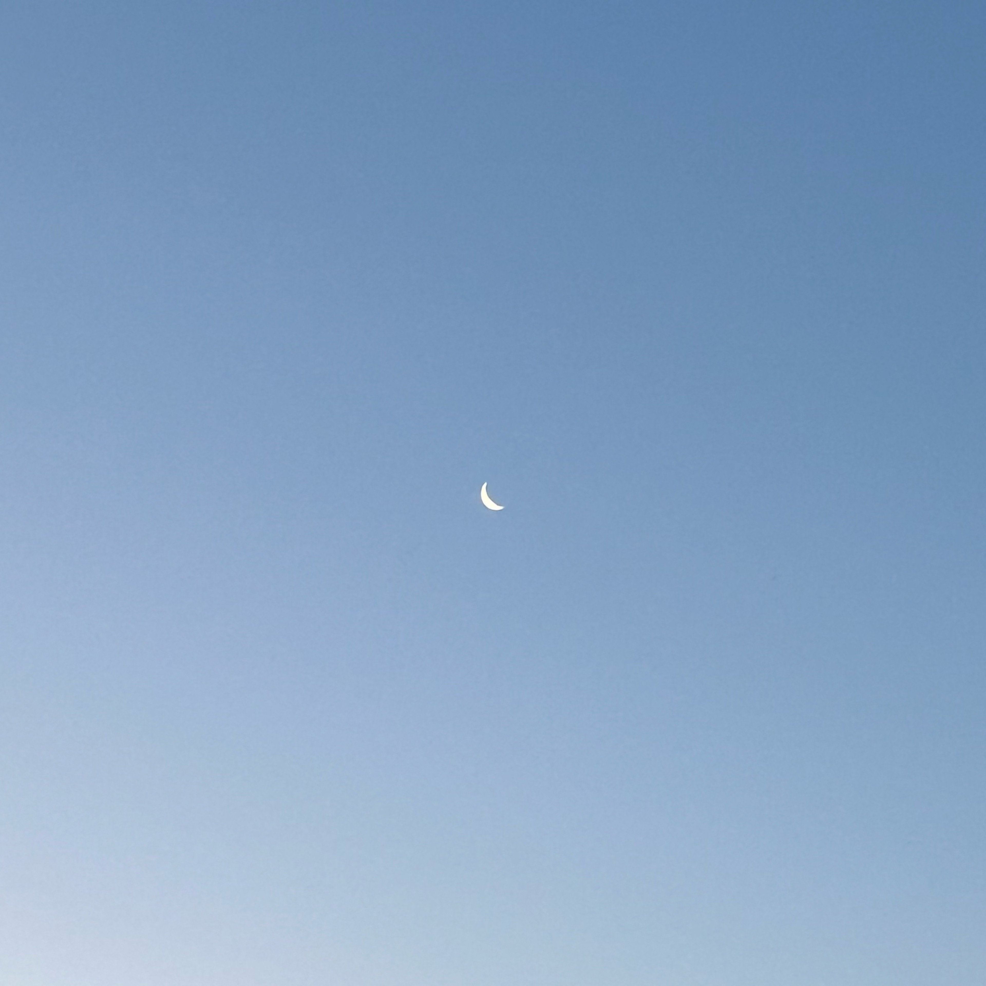 らむね❔専ᴹᴳ