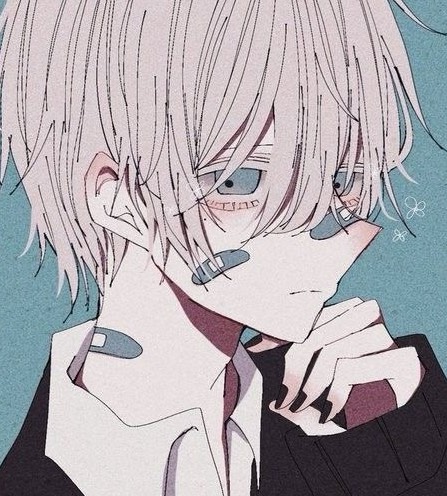 美枷(メイカ)