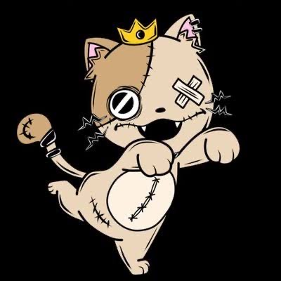星猫𓃠☄️