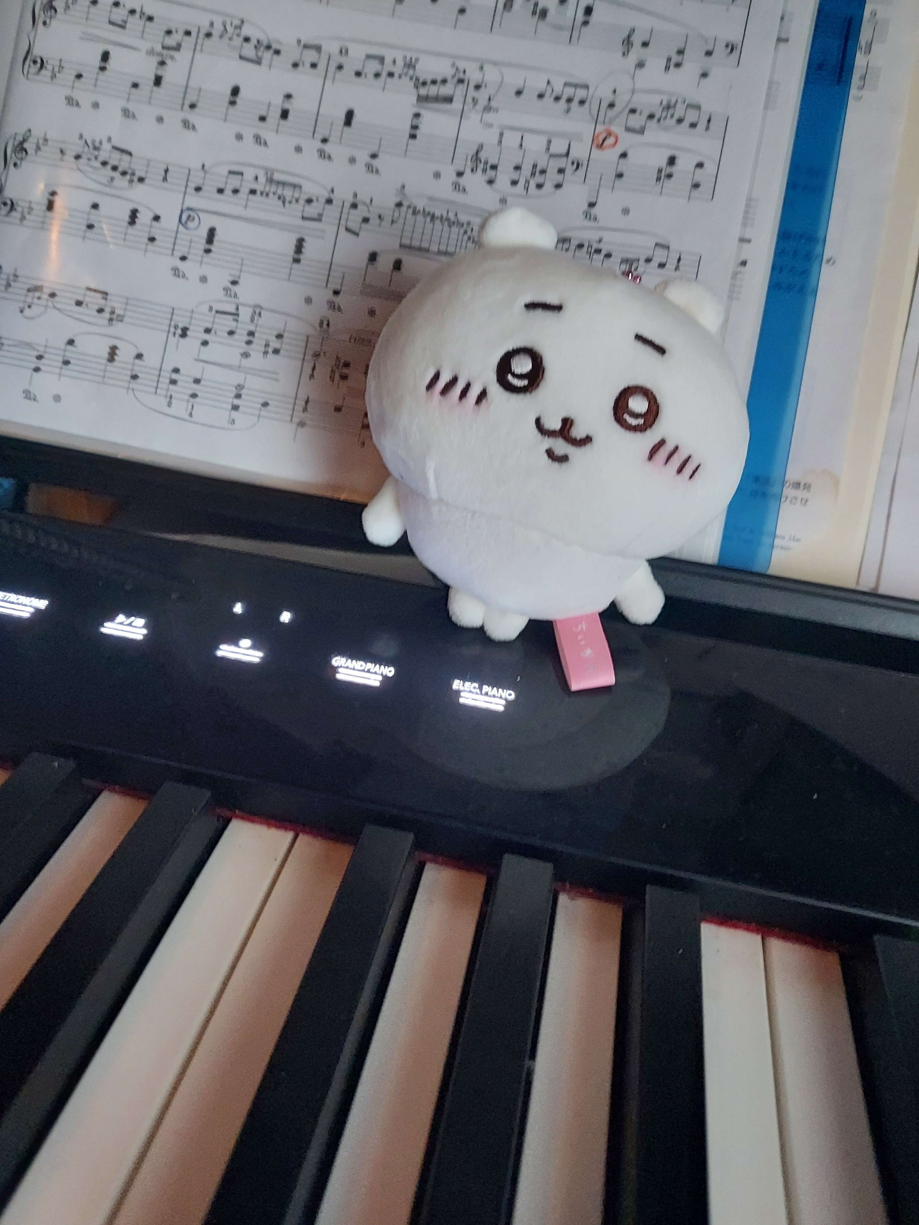 ♪かーこちゃん♪