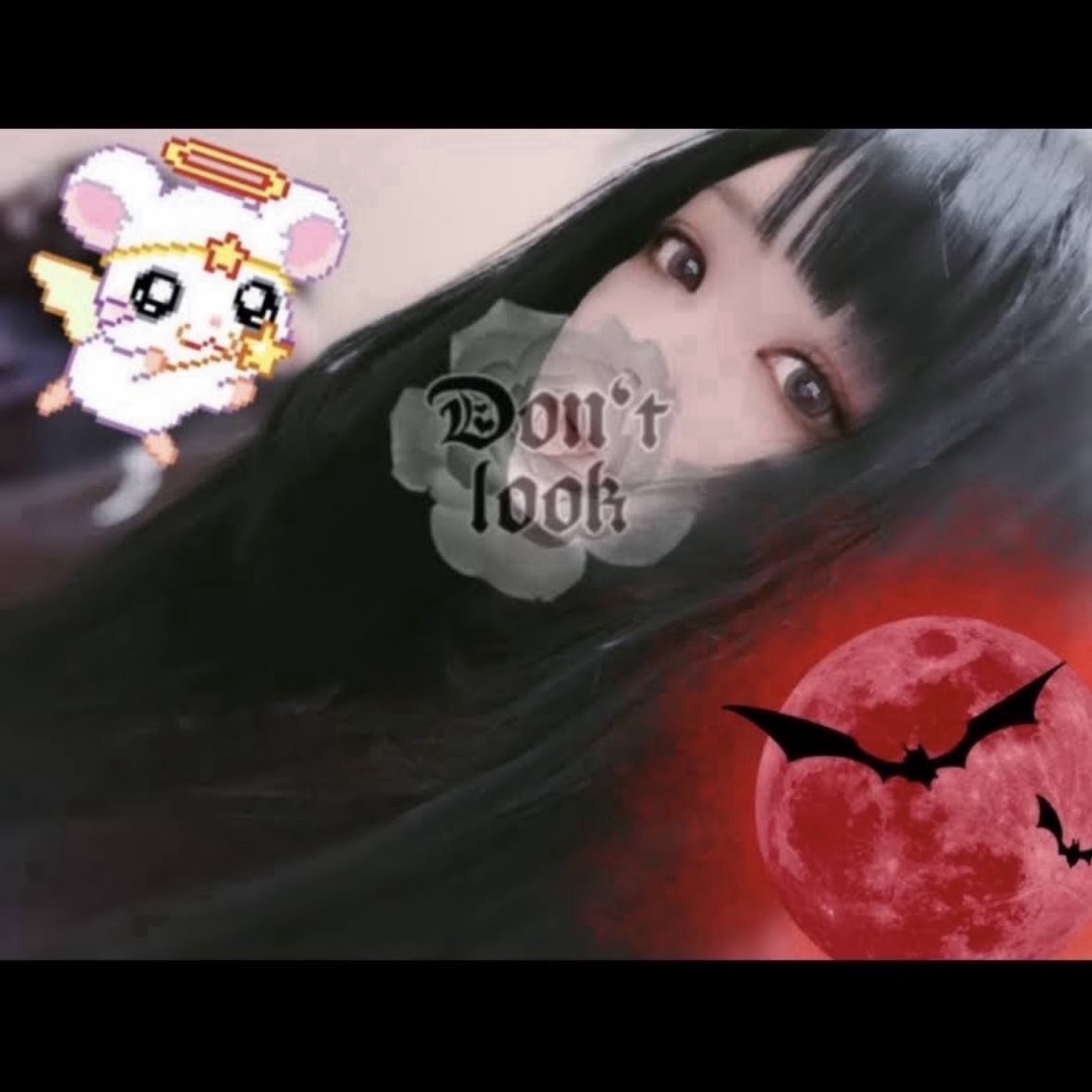 🔴紅丸🔴【🐹🐱】