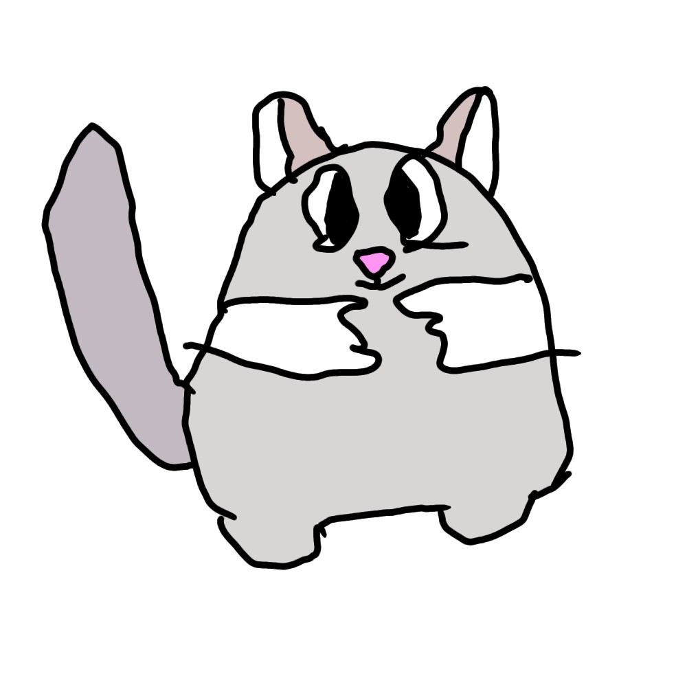 hachi
