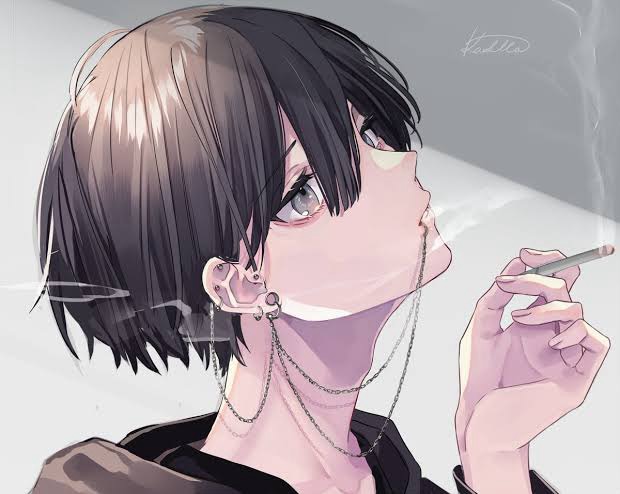 迴258