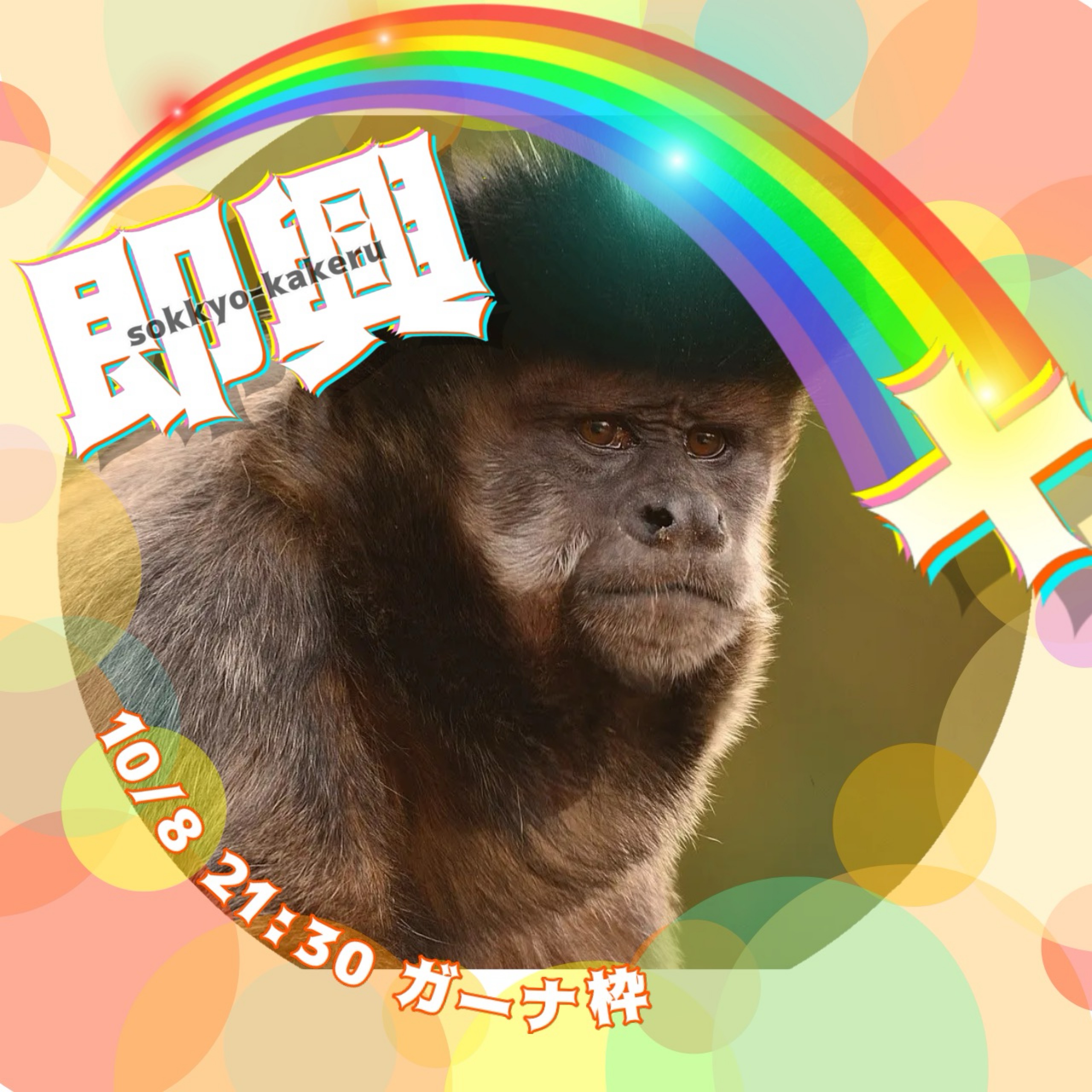 ﾏｺ𝐓𝐨𝐧𝐲.🕴