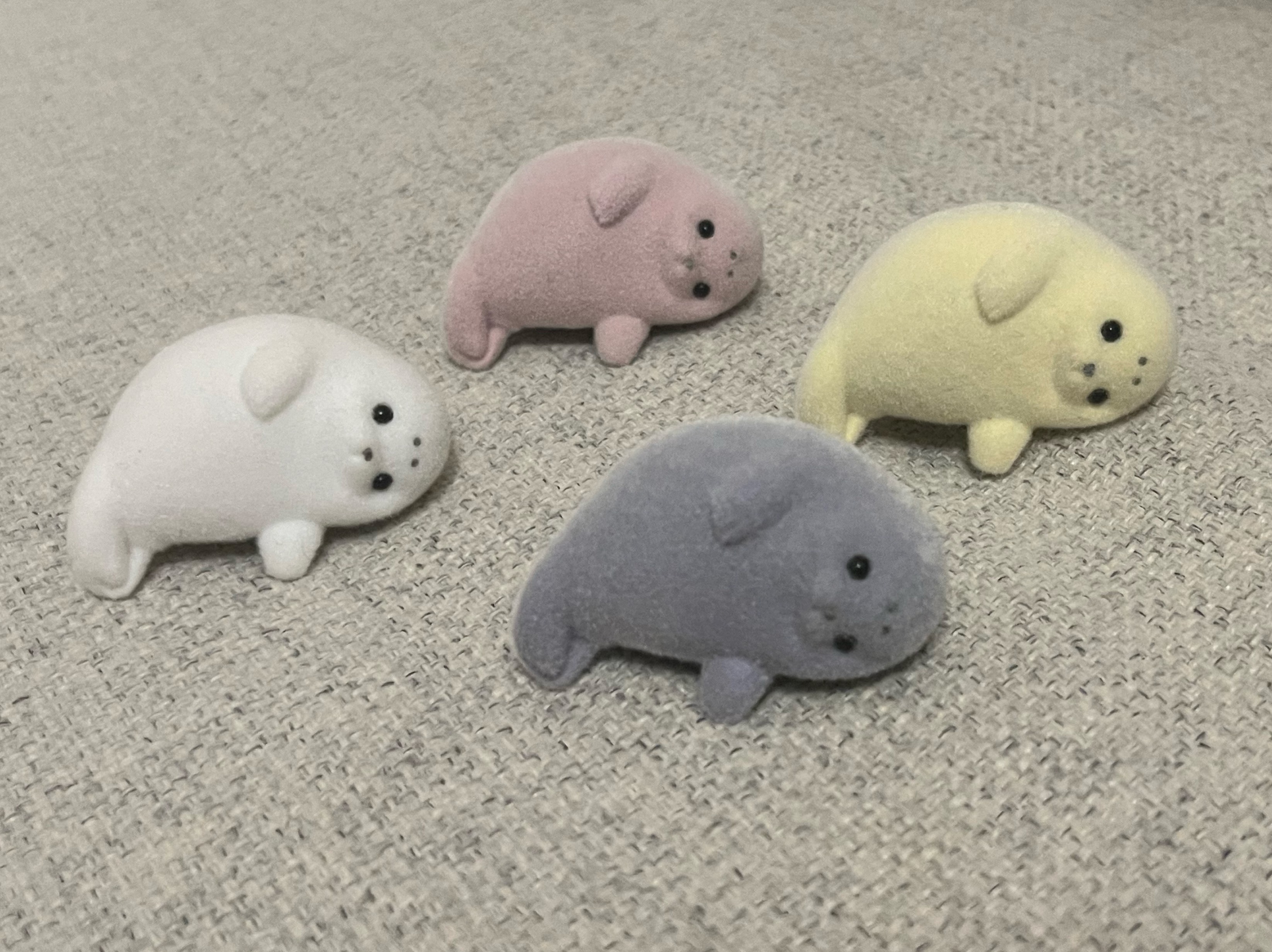 ぴち🦭