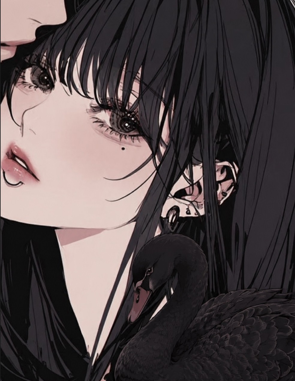 ꙳¹まい
