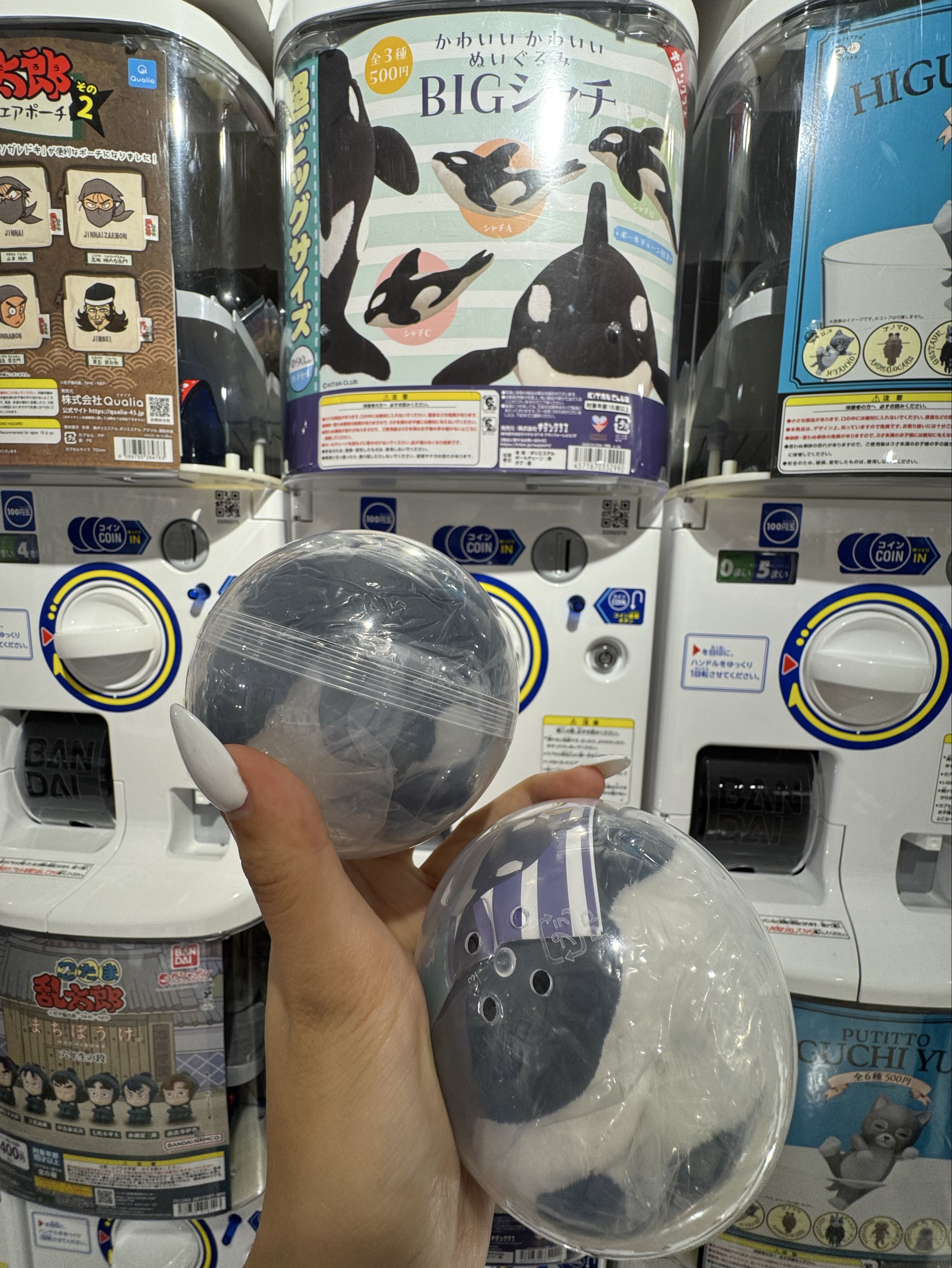 ぽぽぽ